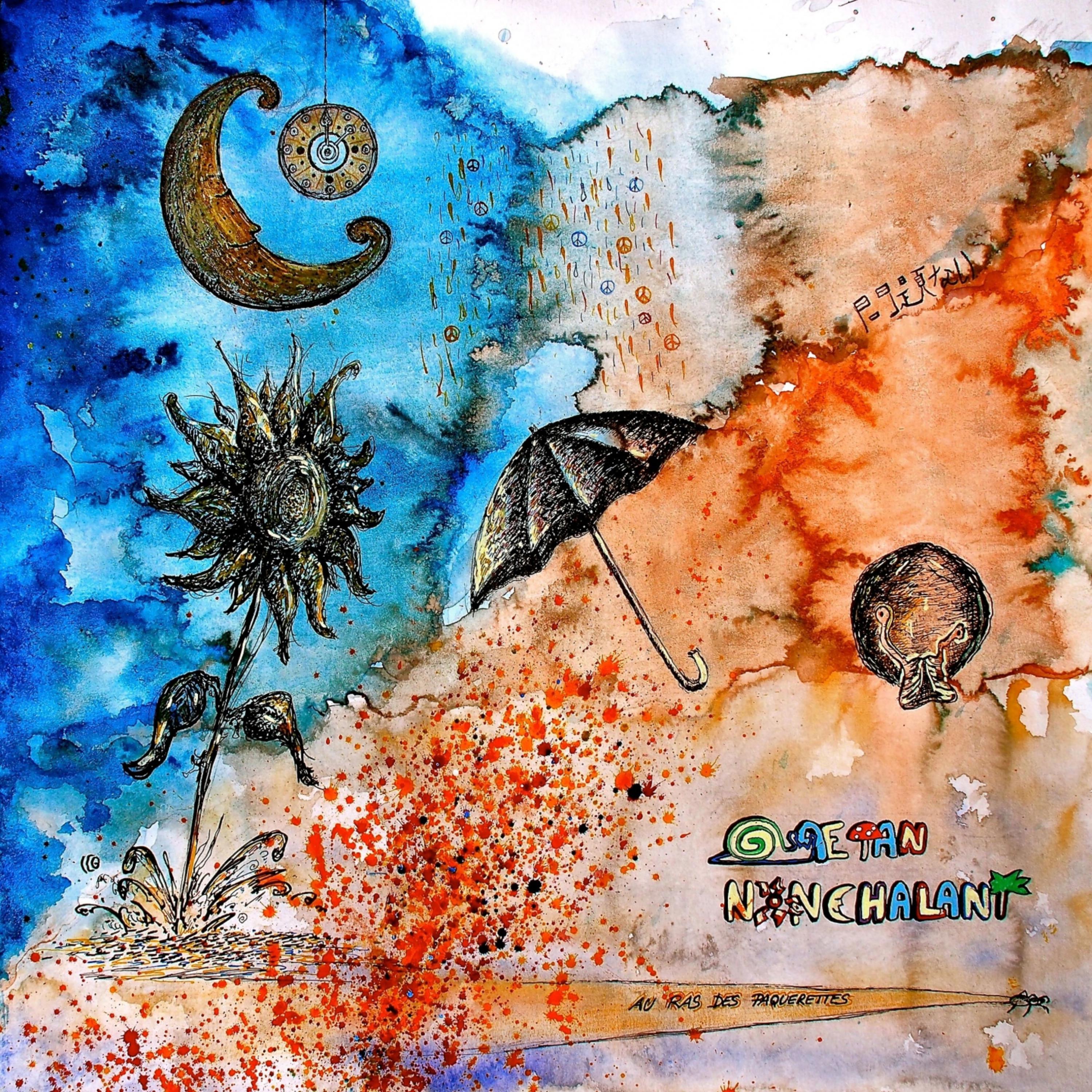 Les yeux d'un insecte