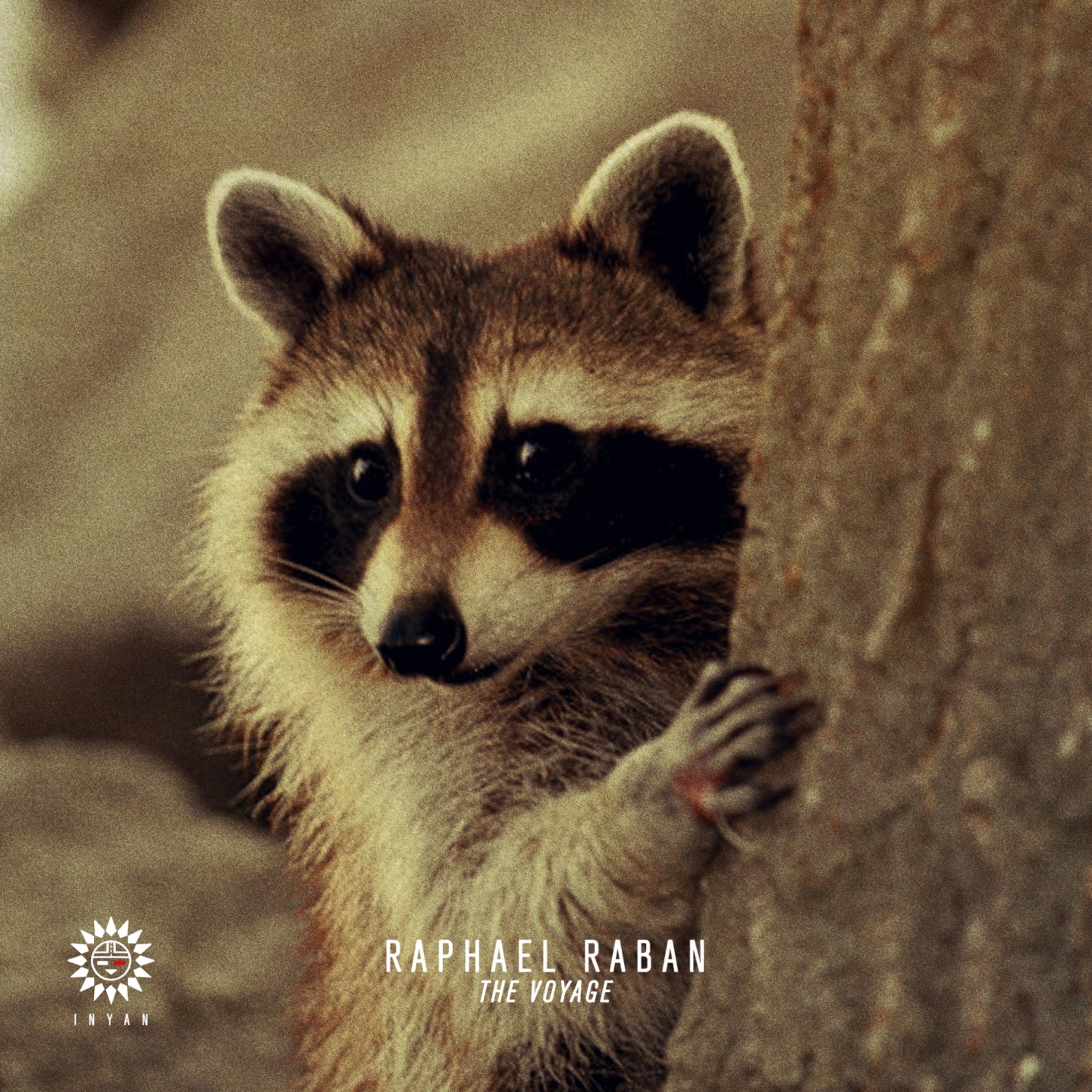 Voyage (Patrick Zigon Remix)