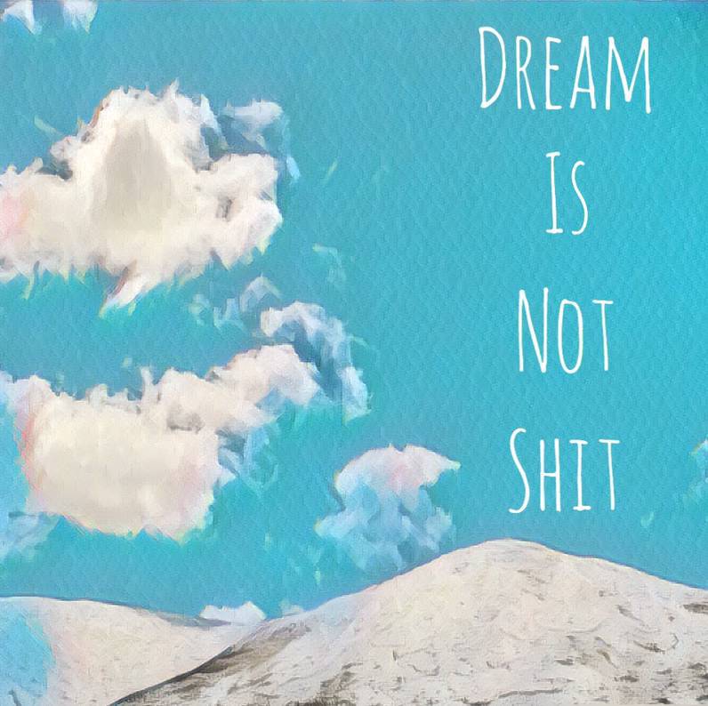 Dream  is  not  shit
