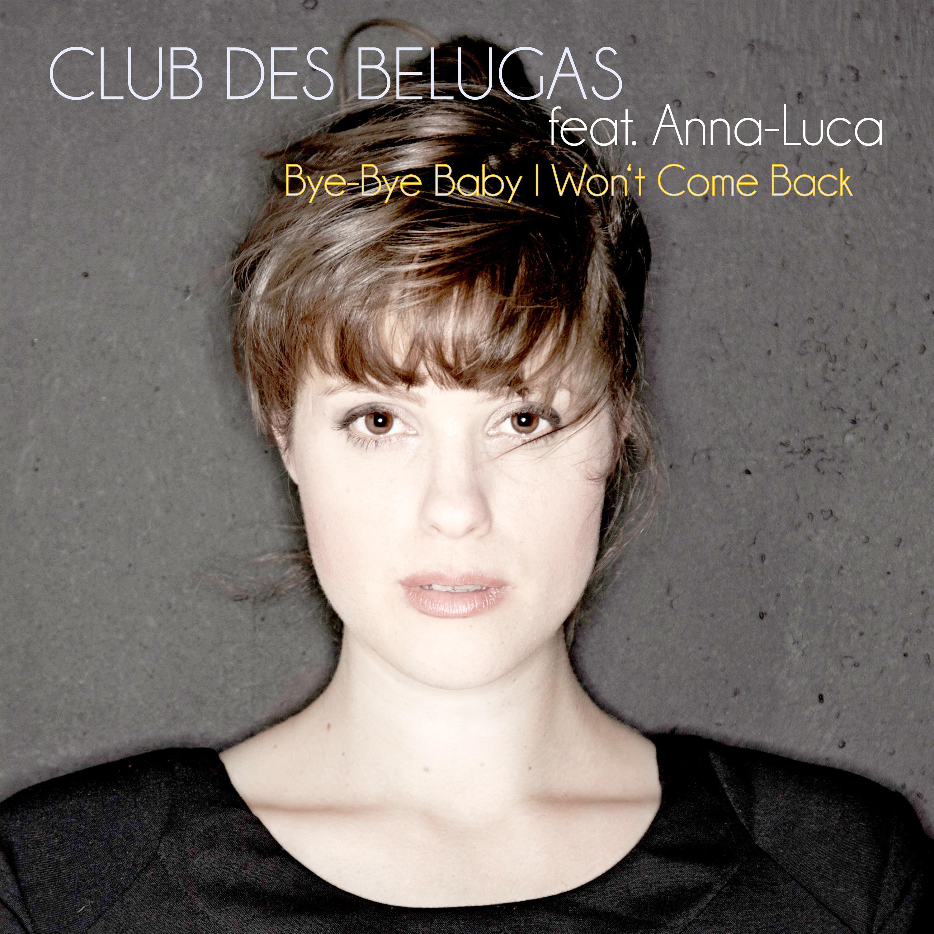 Bye Bye Baby I Won't Come Back (Radio Edit) [Feat. Anna Luca]
