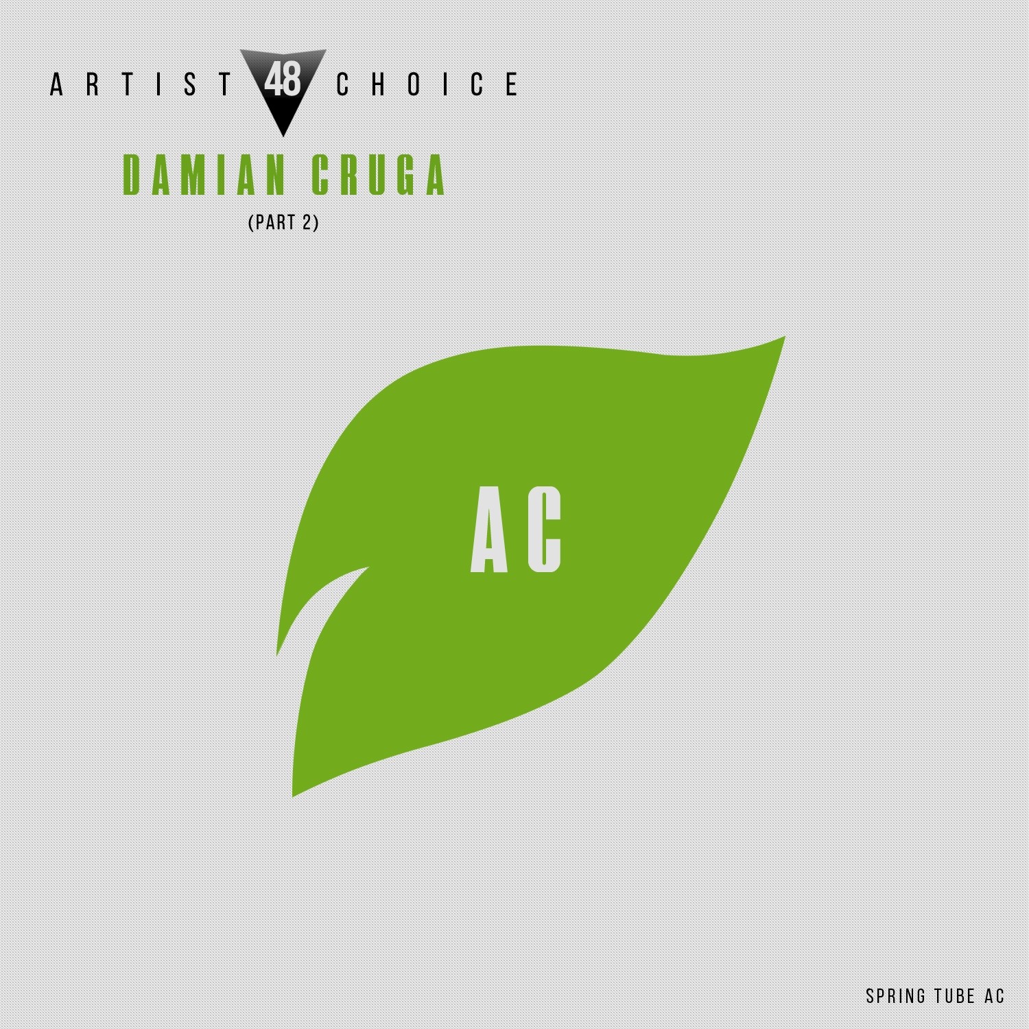 Artist Choice 048. Damian Cruga, Pt. 2 (Continuous DJ Mix)