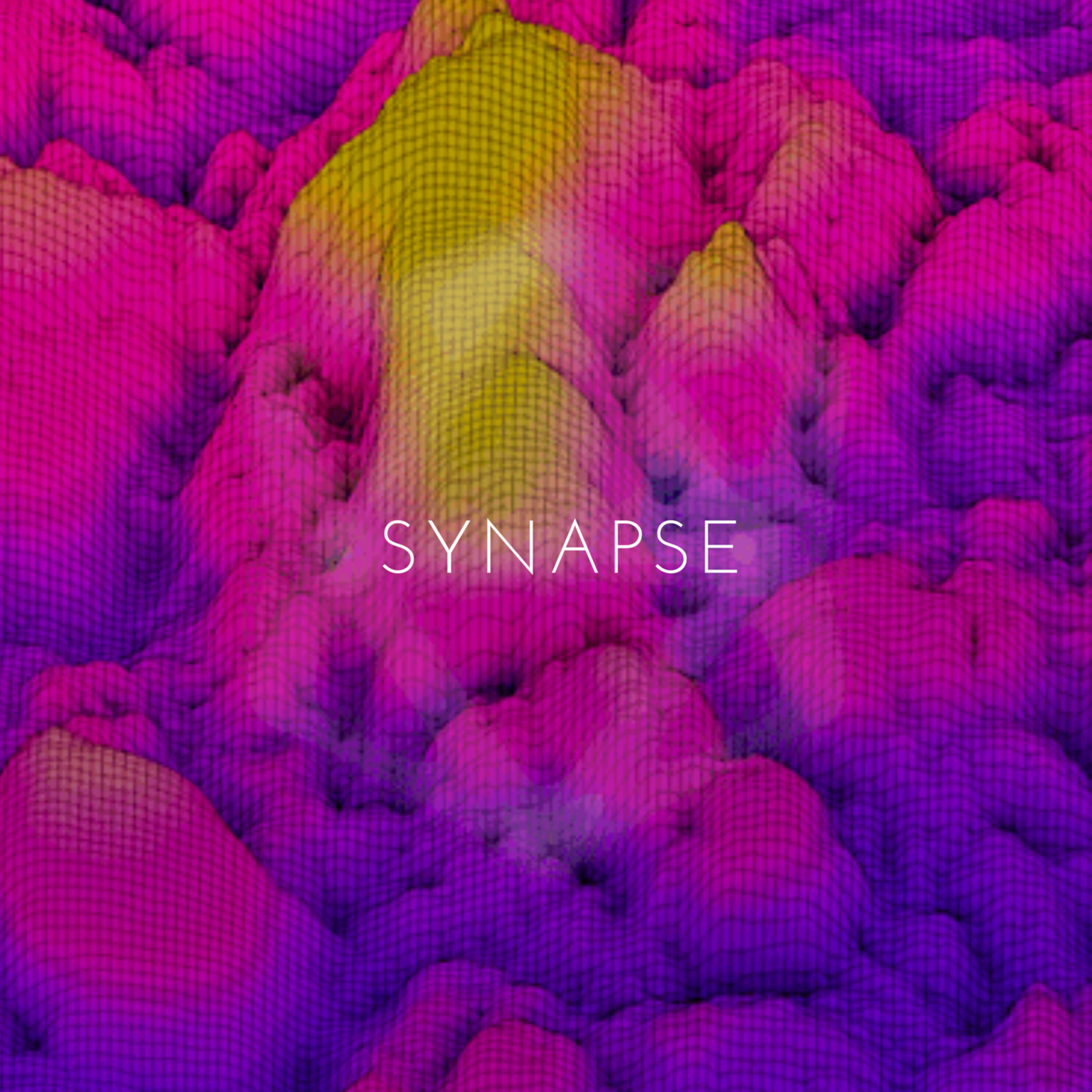 Synapse