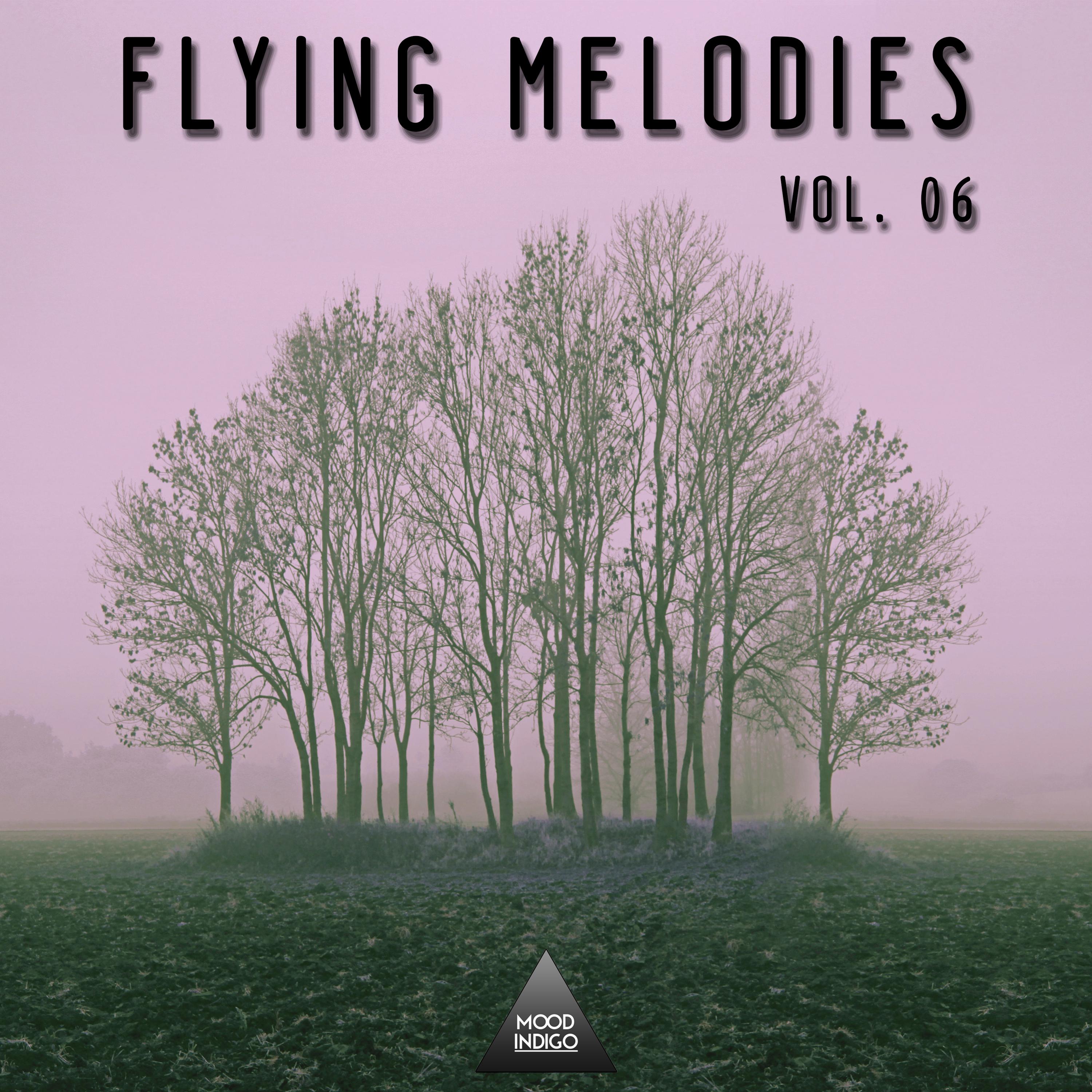 Fyling Melodies, Vol. 06