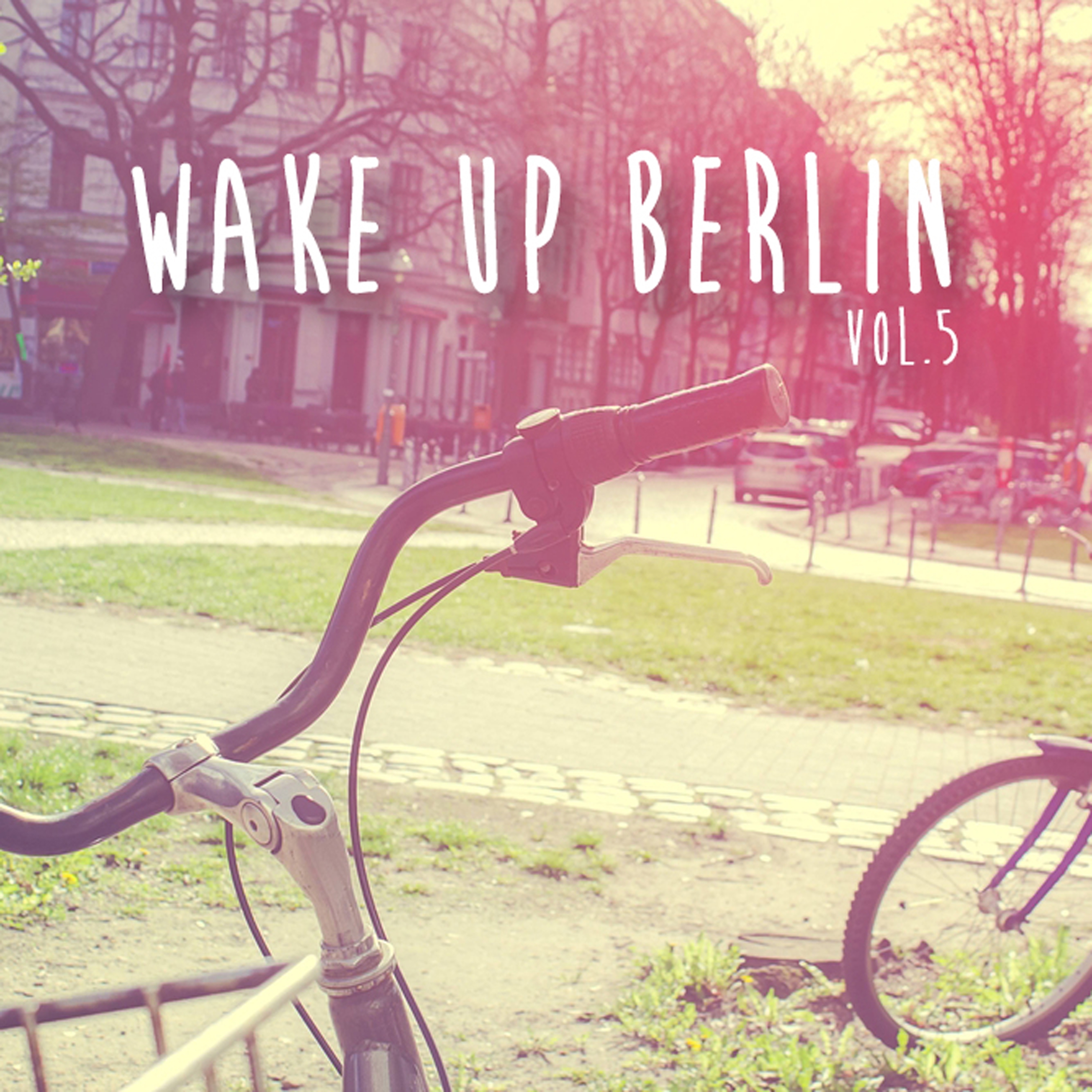 Wake Up Berlin, Vol. 5 - Selection of Dance Music
