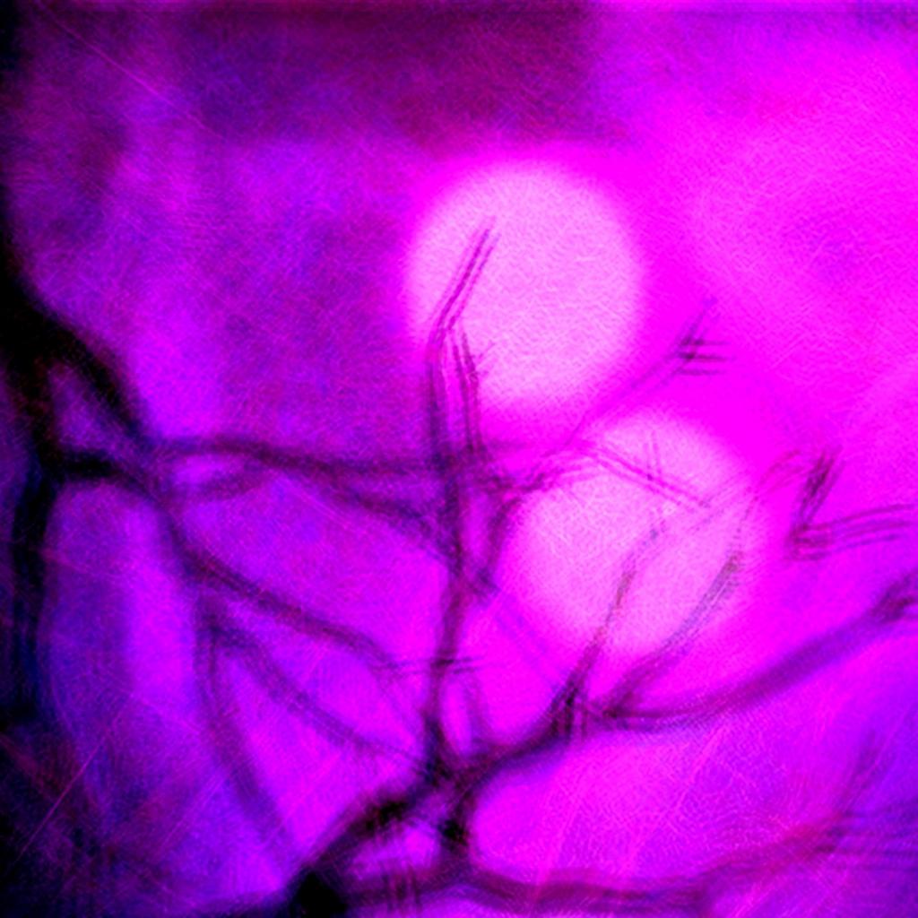 Don't Worry We'll Meet Over The Rainbow