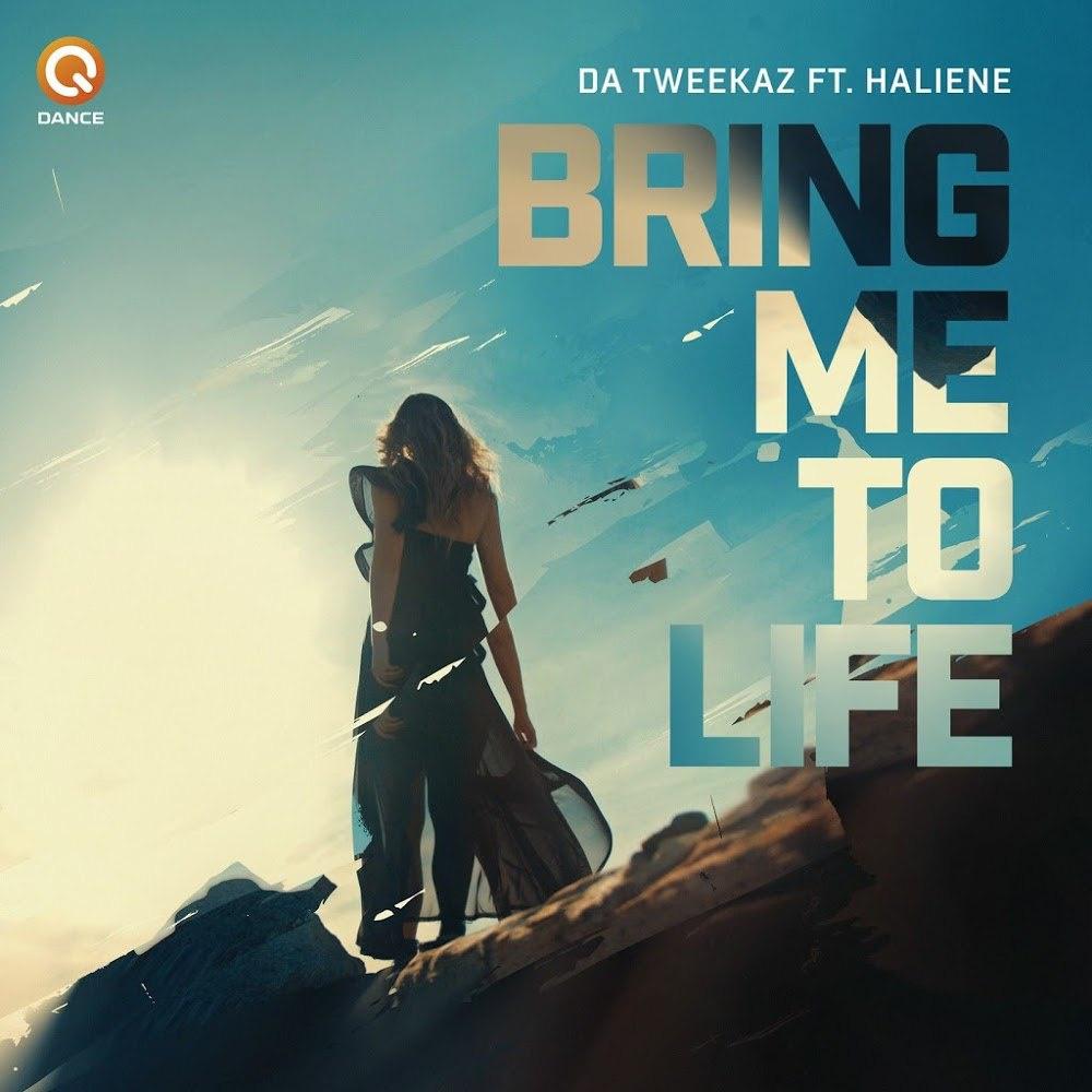 Bring Me To Life (Pro Mix)