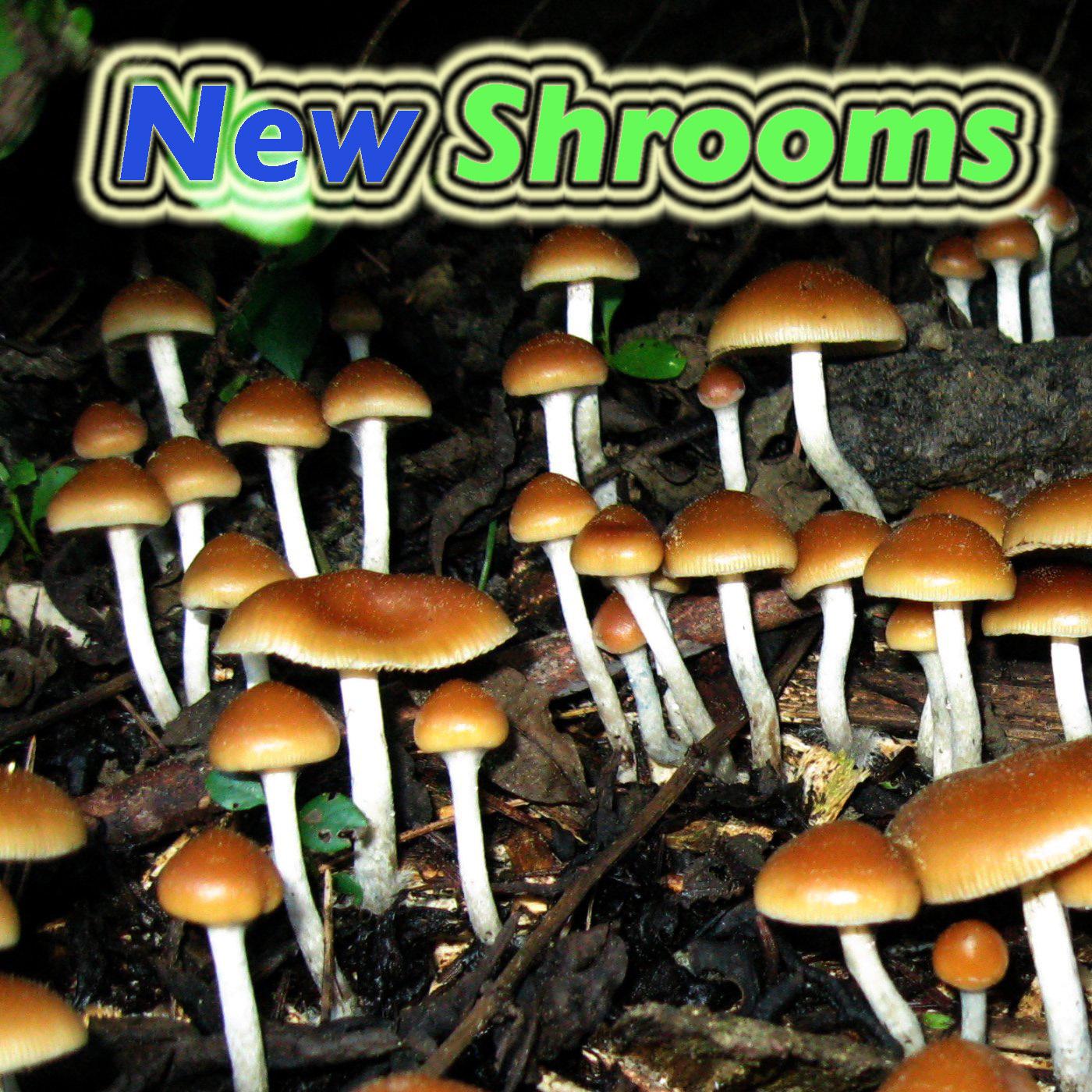 New Shrooms (Mix)