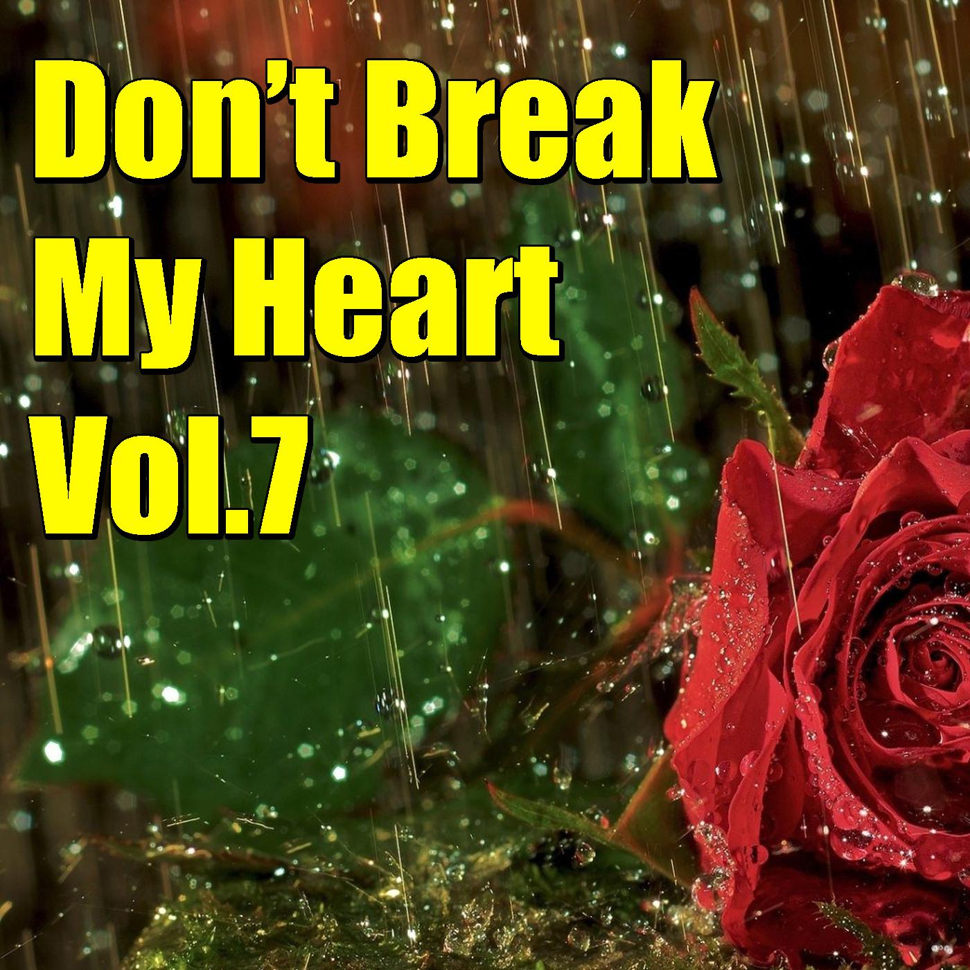 Don't Brake My Heart, Vol.7