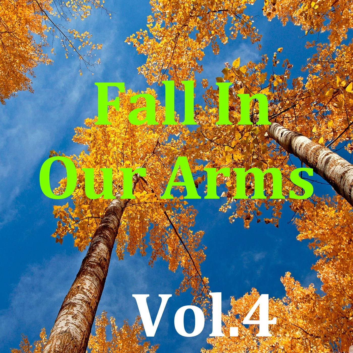 Fall In Our Arms, Vol.4