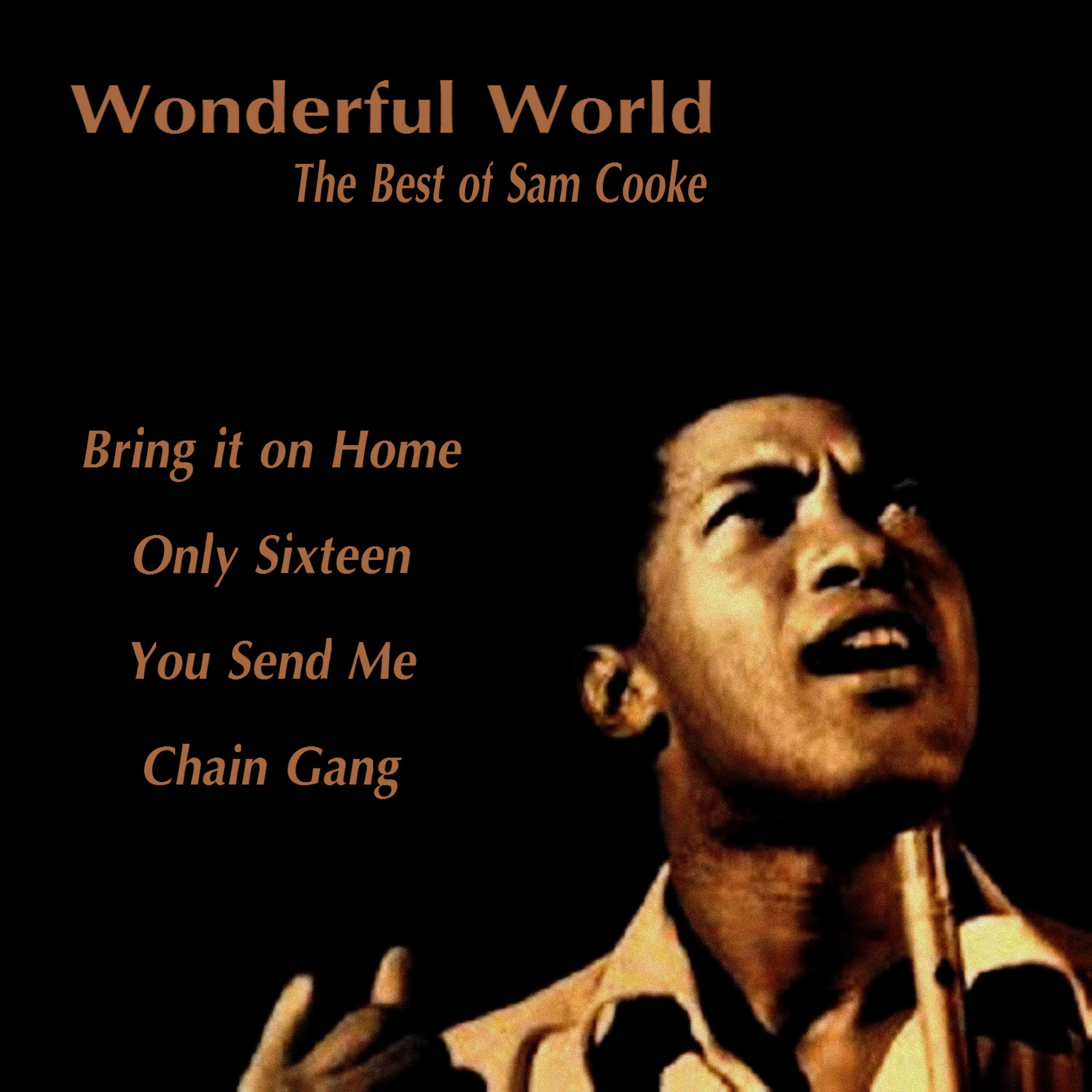 Wonderful World - The Best of Sam Cooke