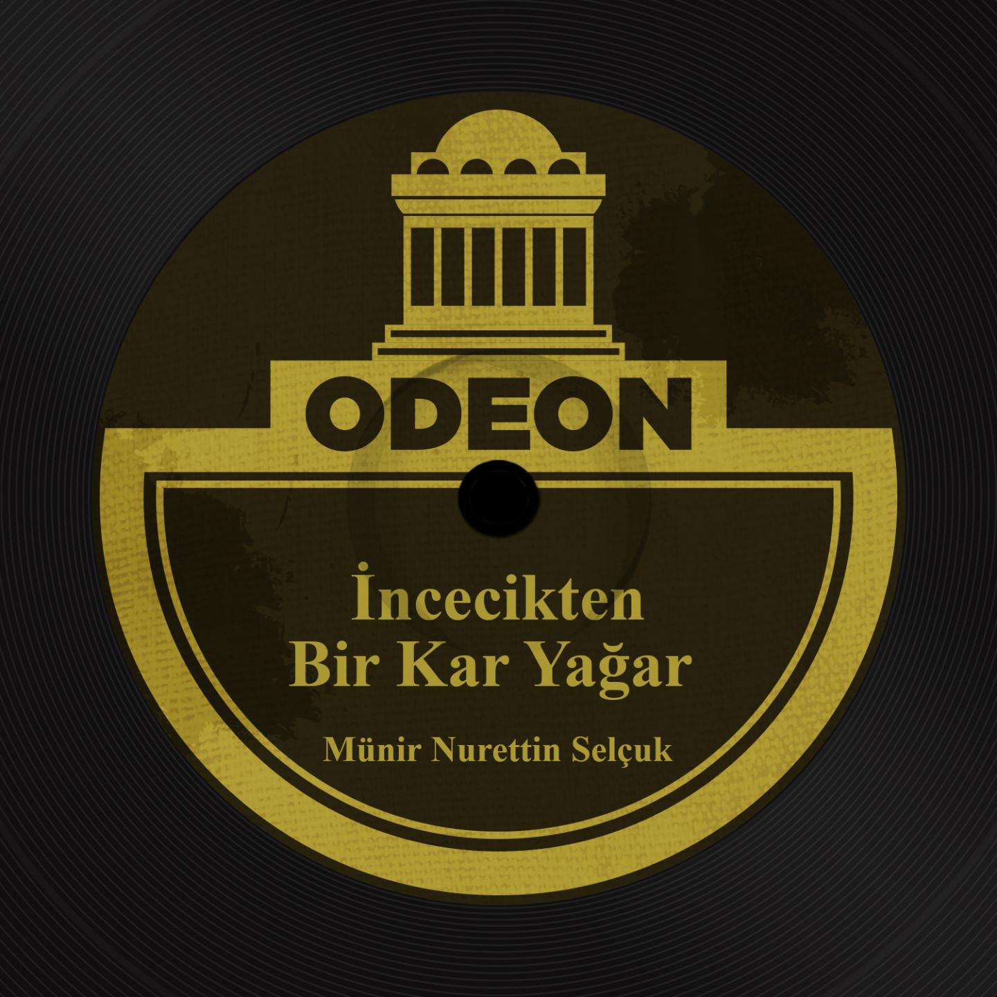 ncecikten Bir Kar Ya ar