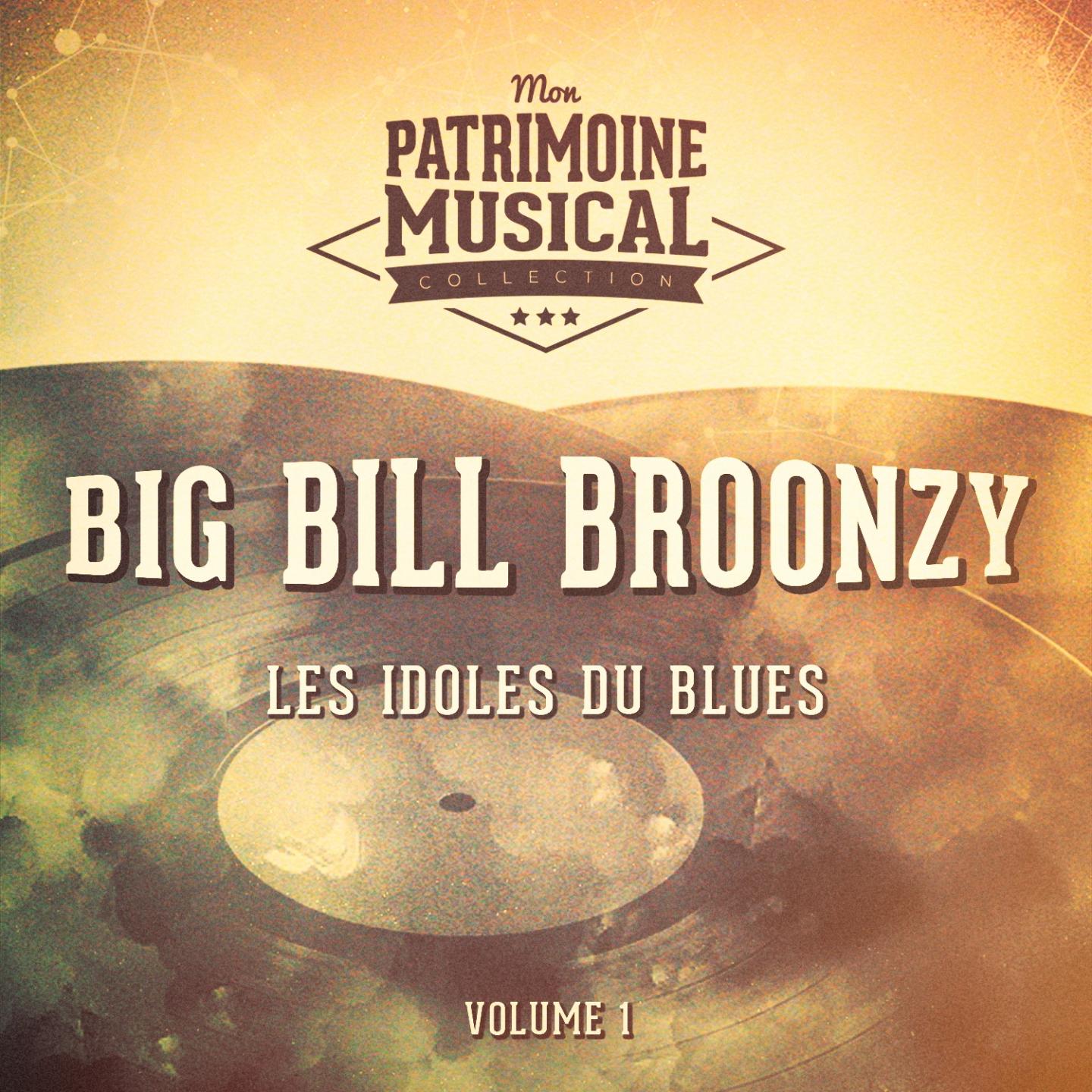 Les Idoles Du Blues: Big Bill Broonzy, Vol. 1