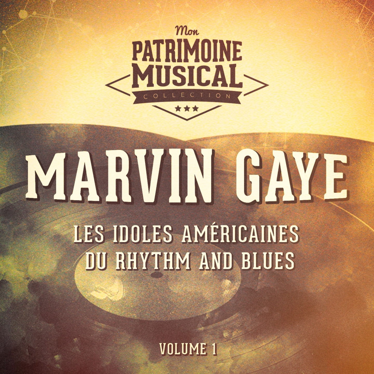 Les Idoles Ame ricaines Du Rhythm and Blues: Marvin Gaye, Vol. 1