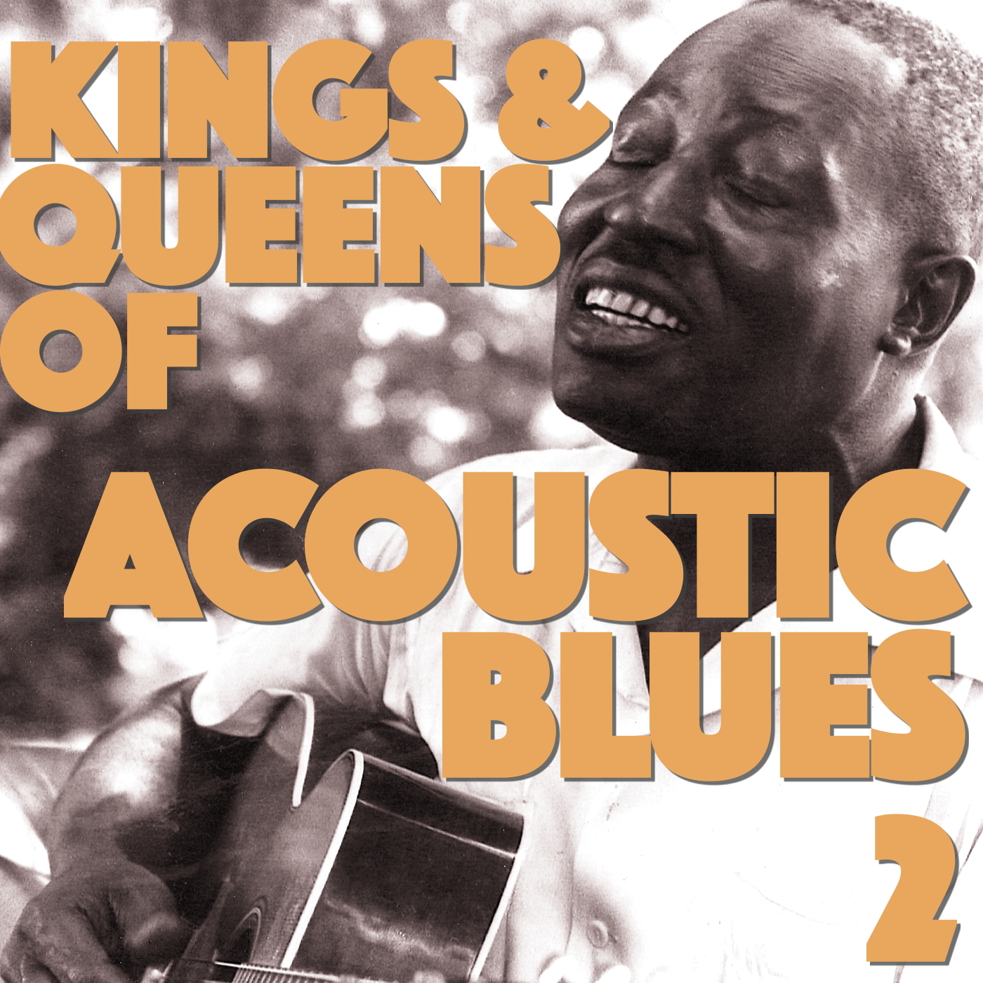 Acoustic Blues Kings and Queens, Vol. 2