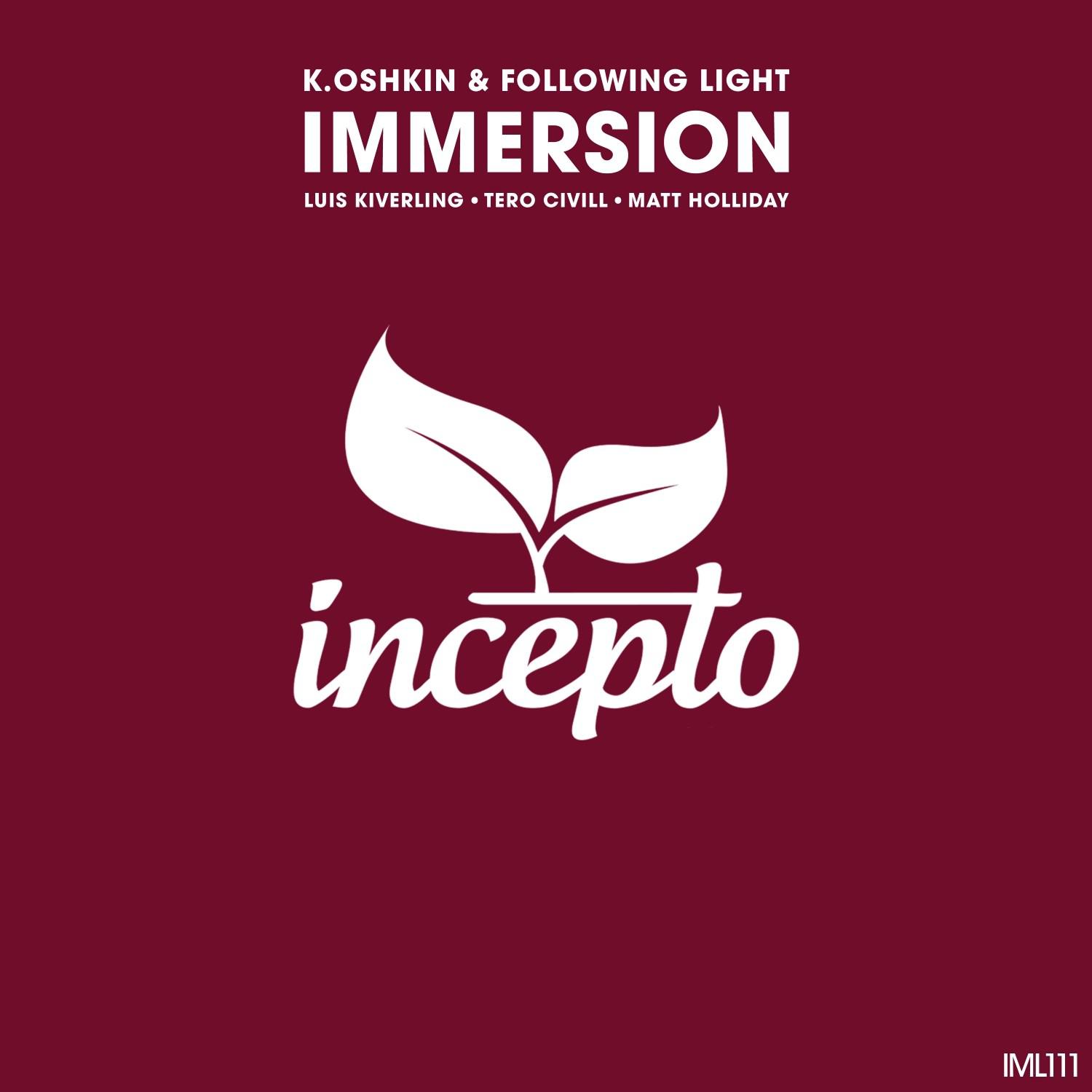 Immersion (Luis Kiverling Remix)