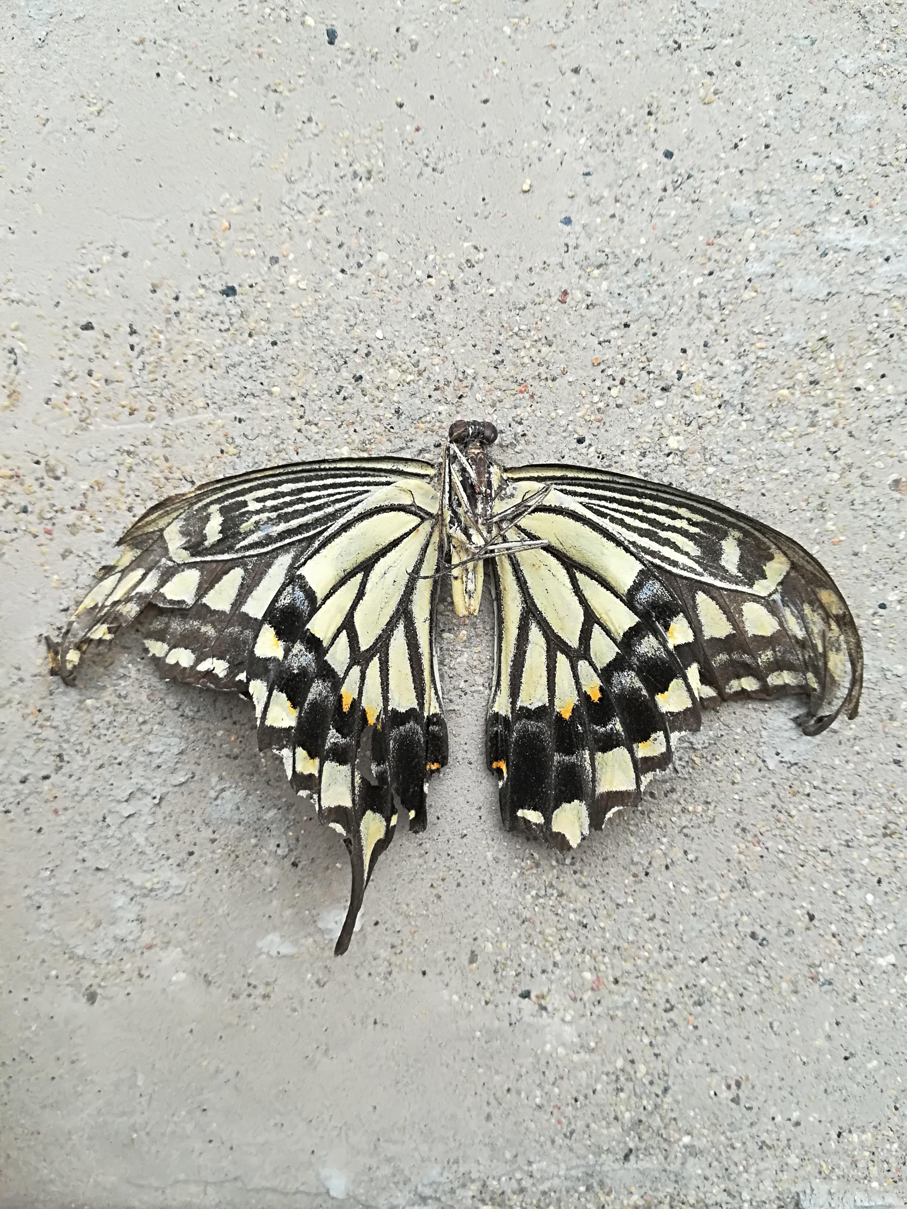 er shi san san shi er