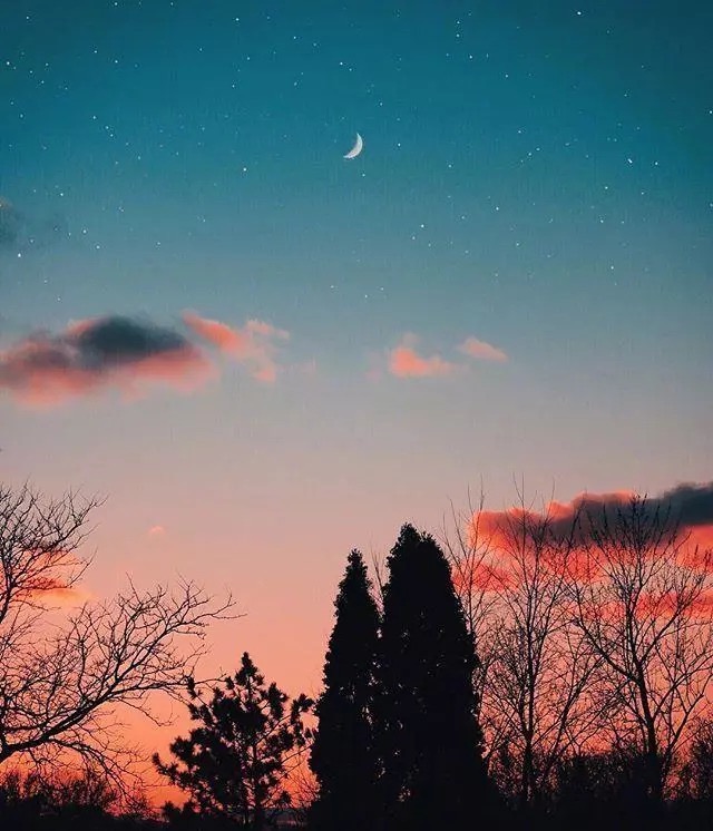 bu zai nian qing de gu niang