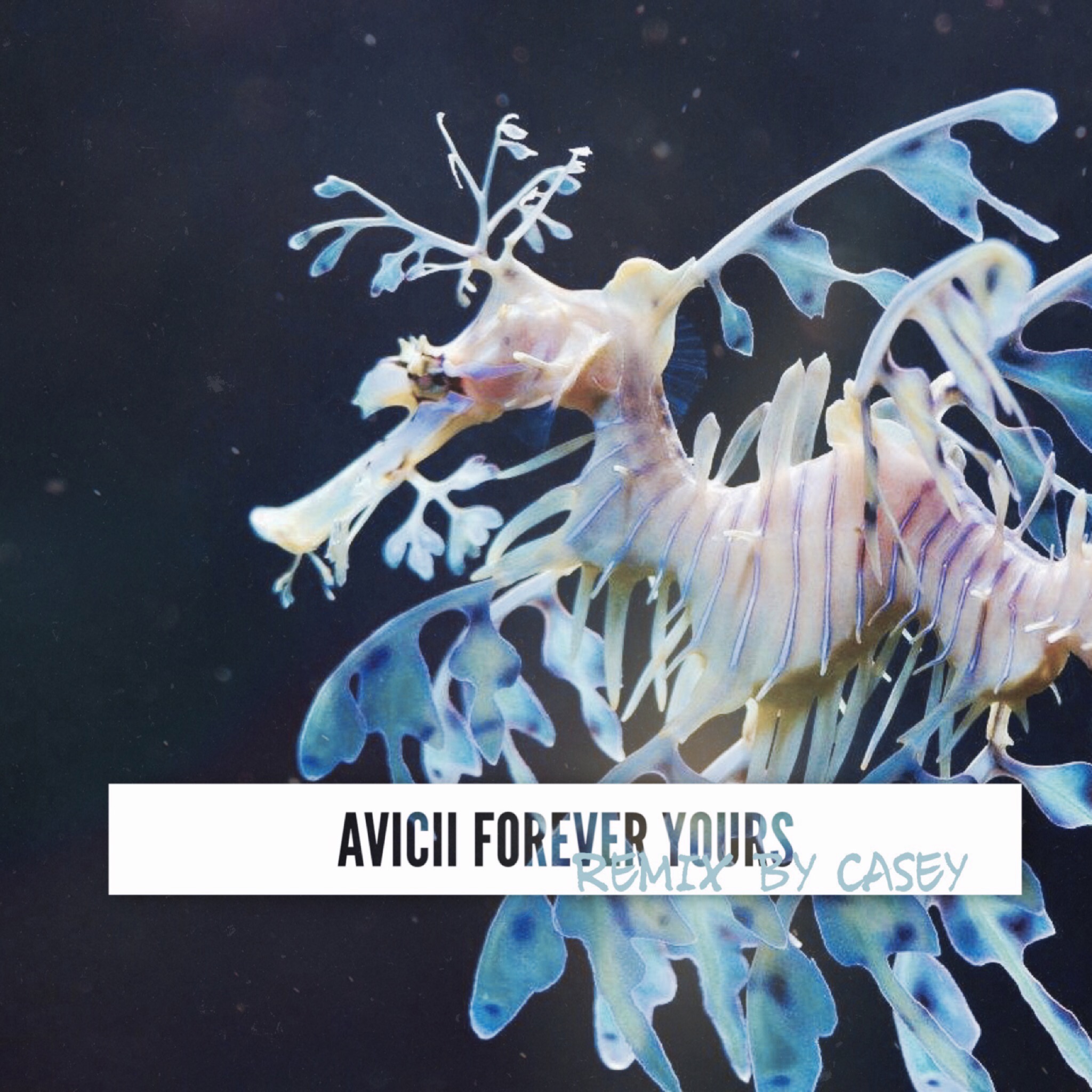 AVICIIAVICII  Forever  YoursREMIX  by  casey casey  tian  Avicii remix