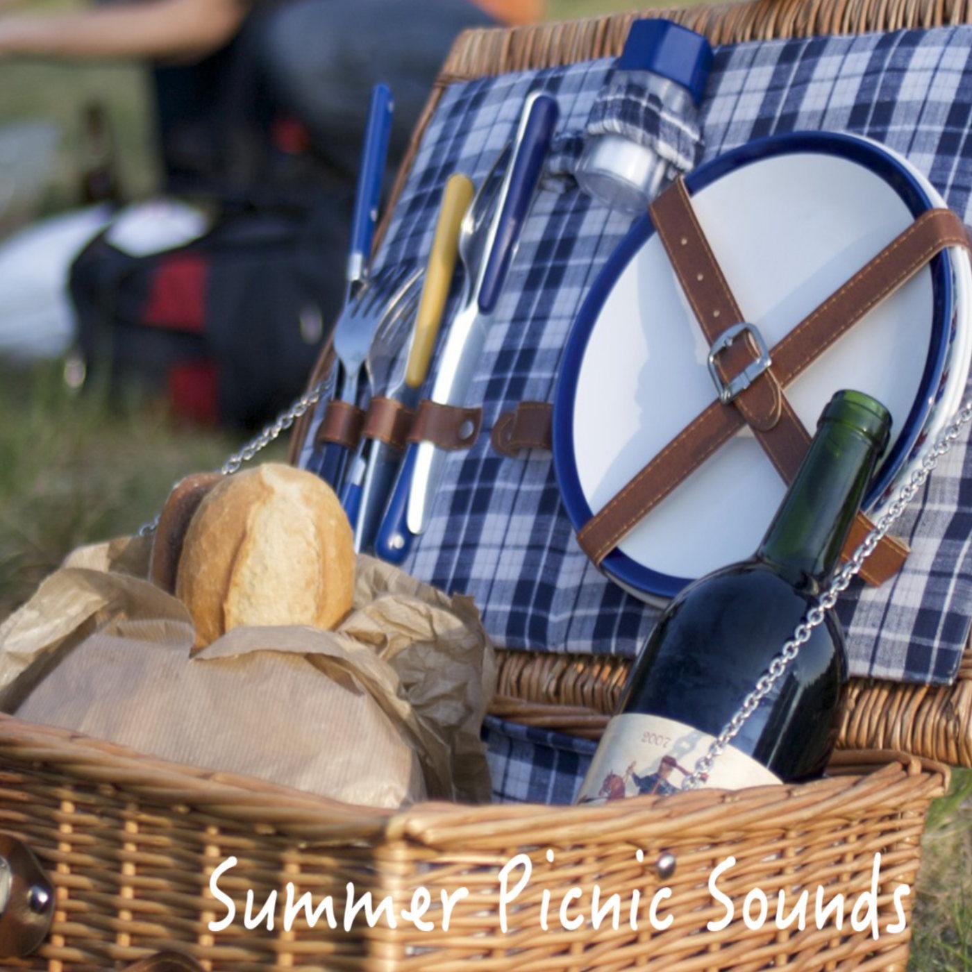 Summer Picnic Sounds