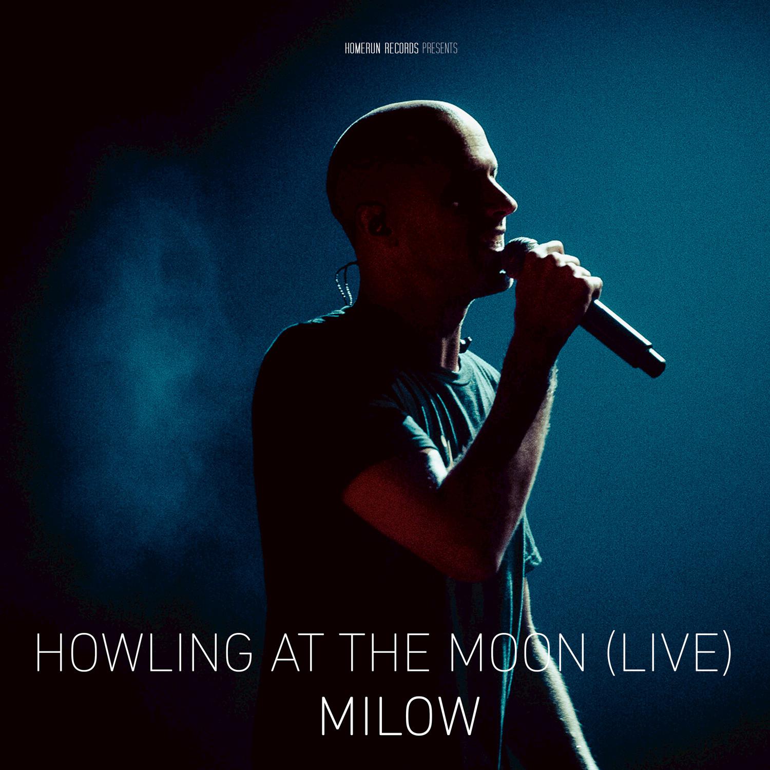 Howling at the Moon (Live in Vienna)