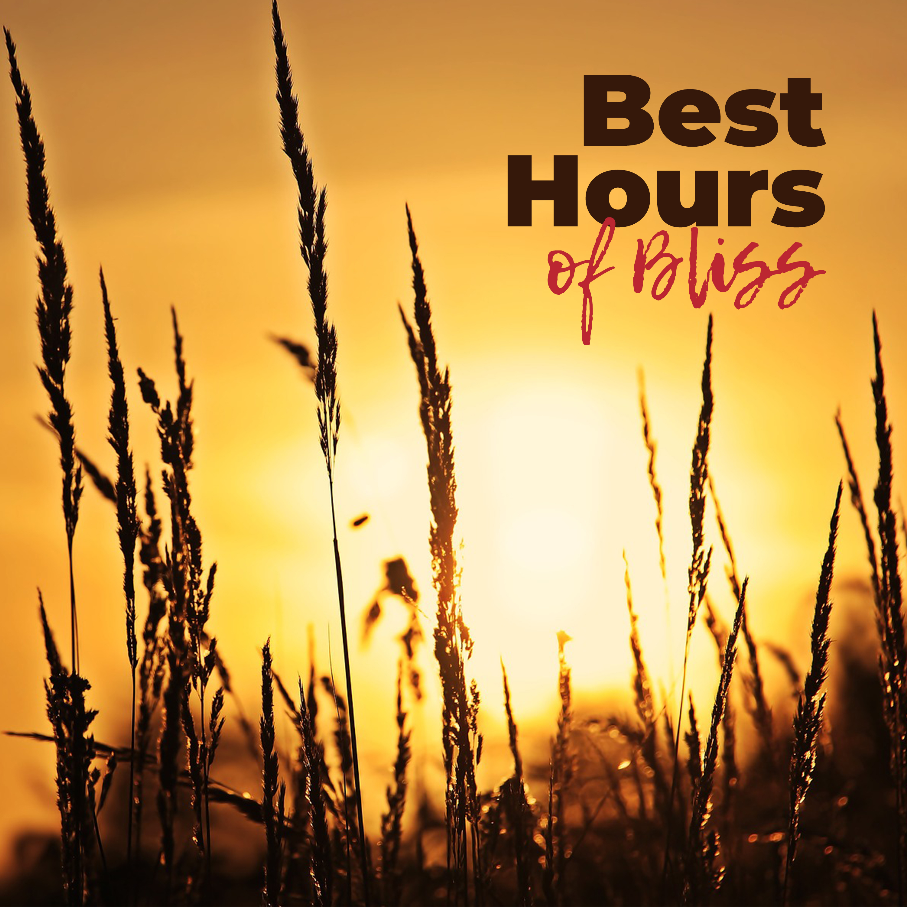 Mindfulness Training