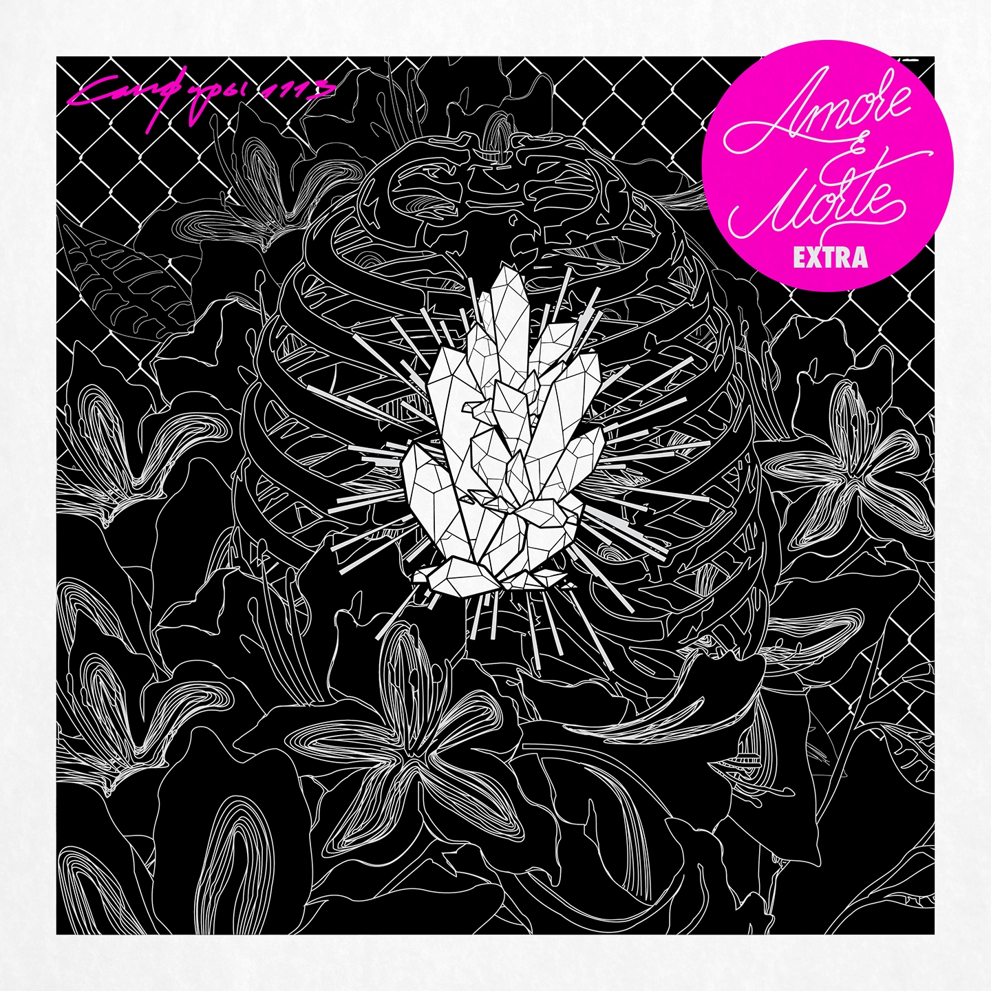 1113 Amore e morte  Extra