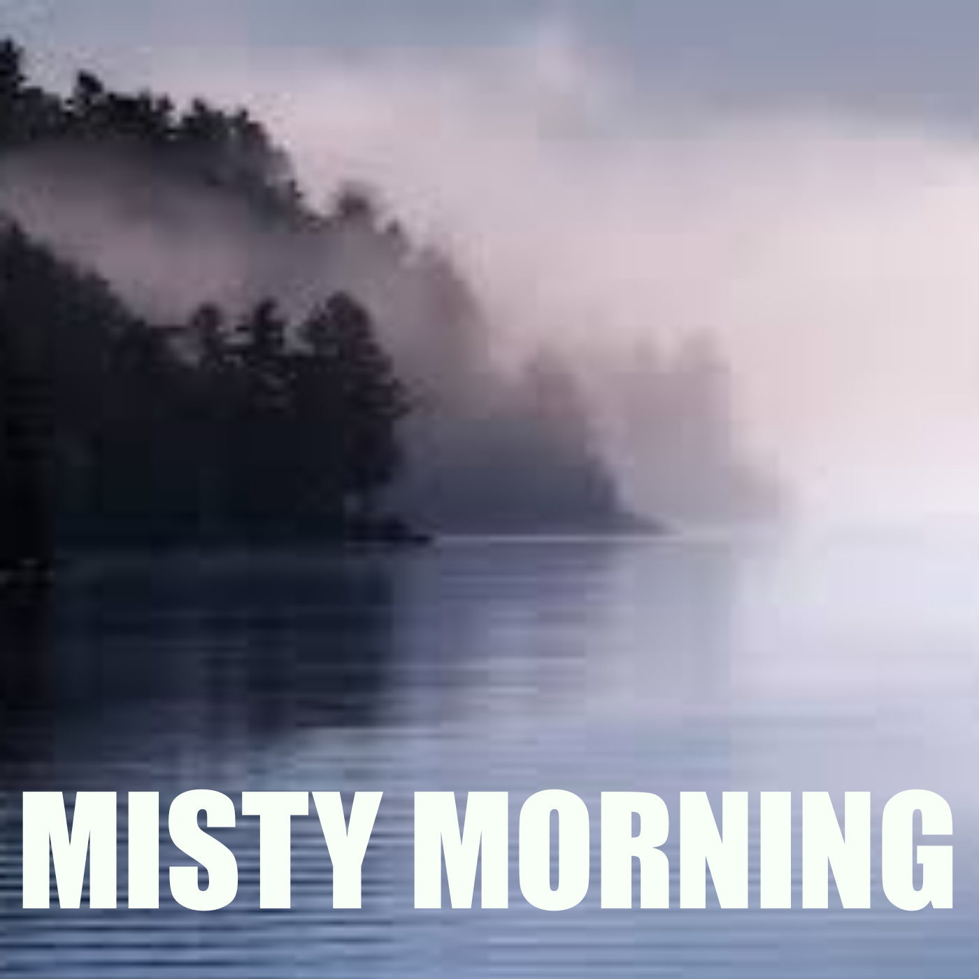 Misty Morning