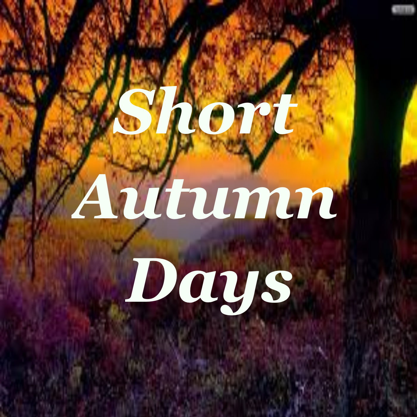 Short Autumn Days