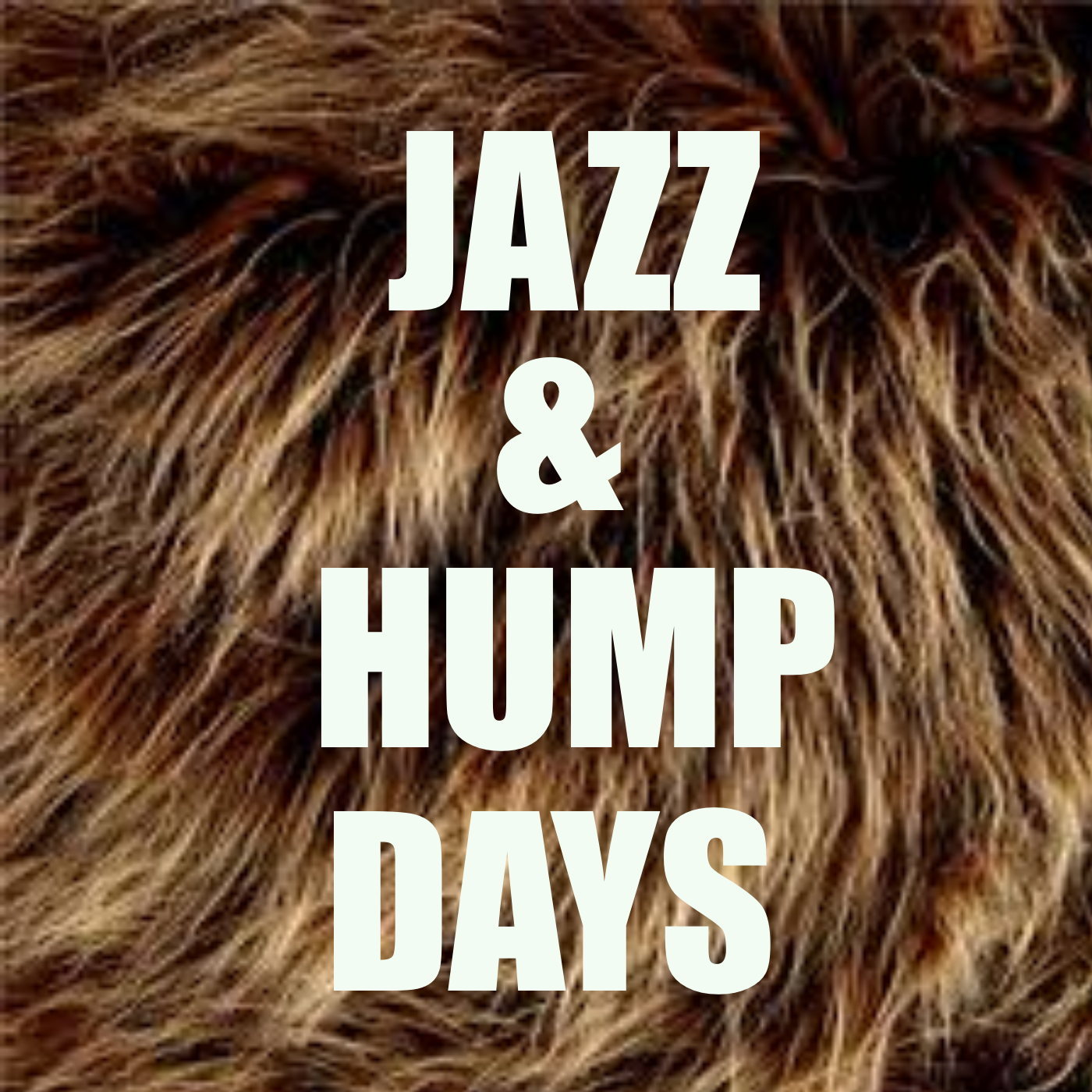Jazz & Hump Days