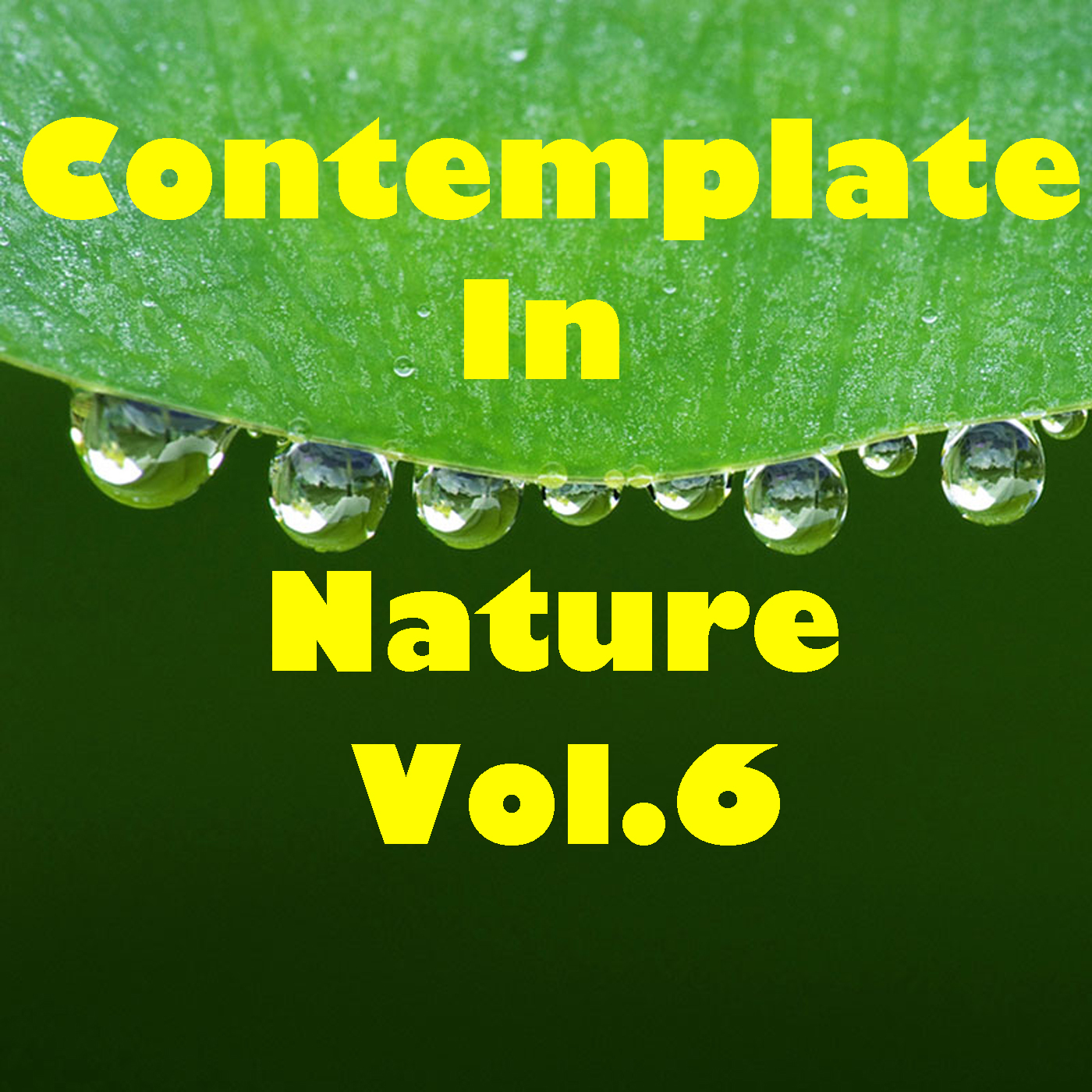 Contemplate In Nature, Vol.6