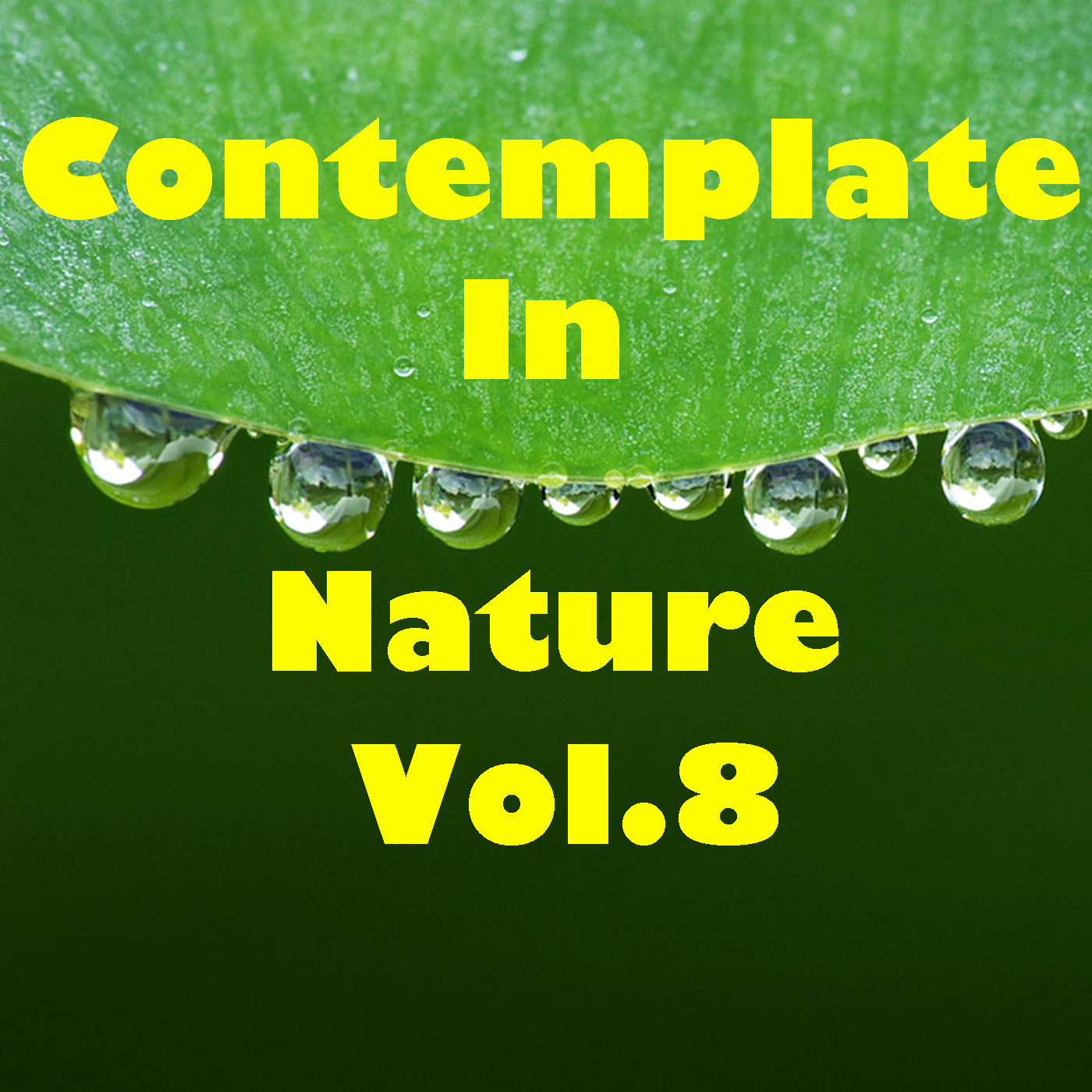 Contemplate In Nature, Vol.8