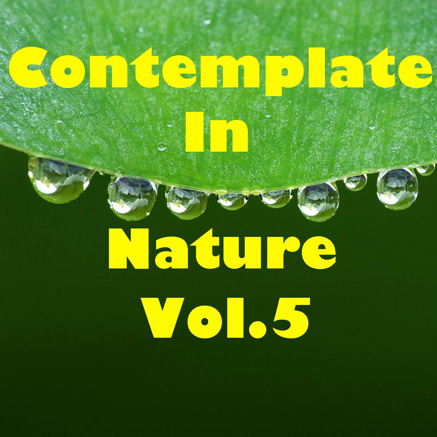 Contemplate In Nature, Vol.5