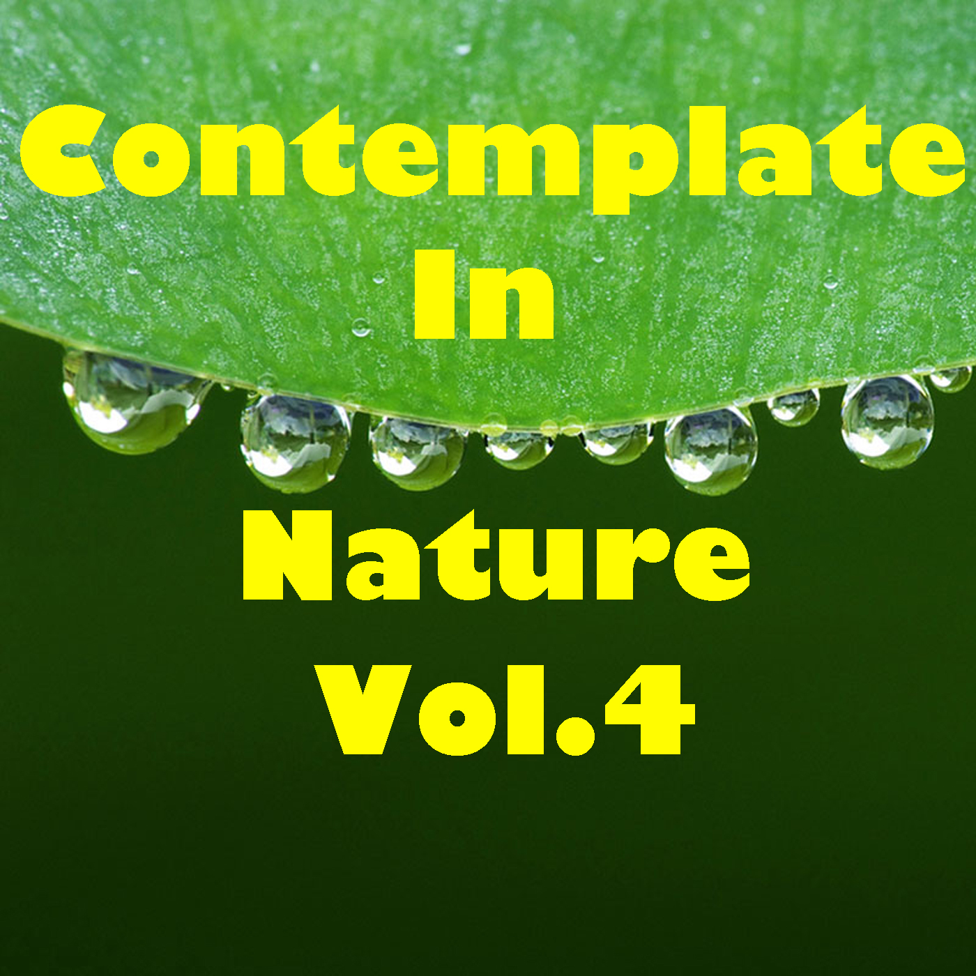 Contemplate In Nature, Vol.4