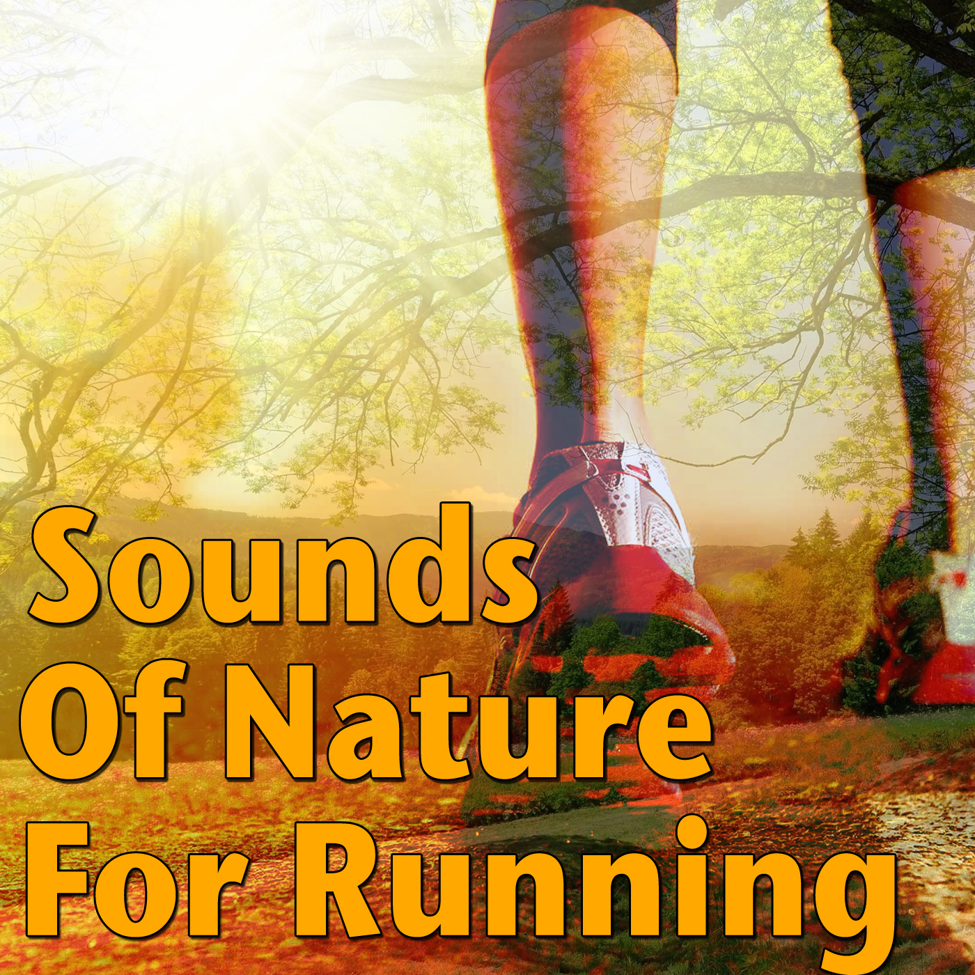 Sounds Of Nature For Running, Vol.3