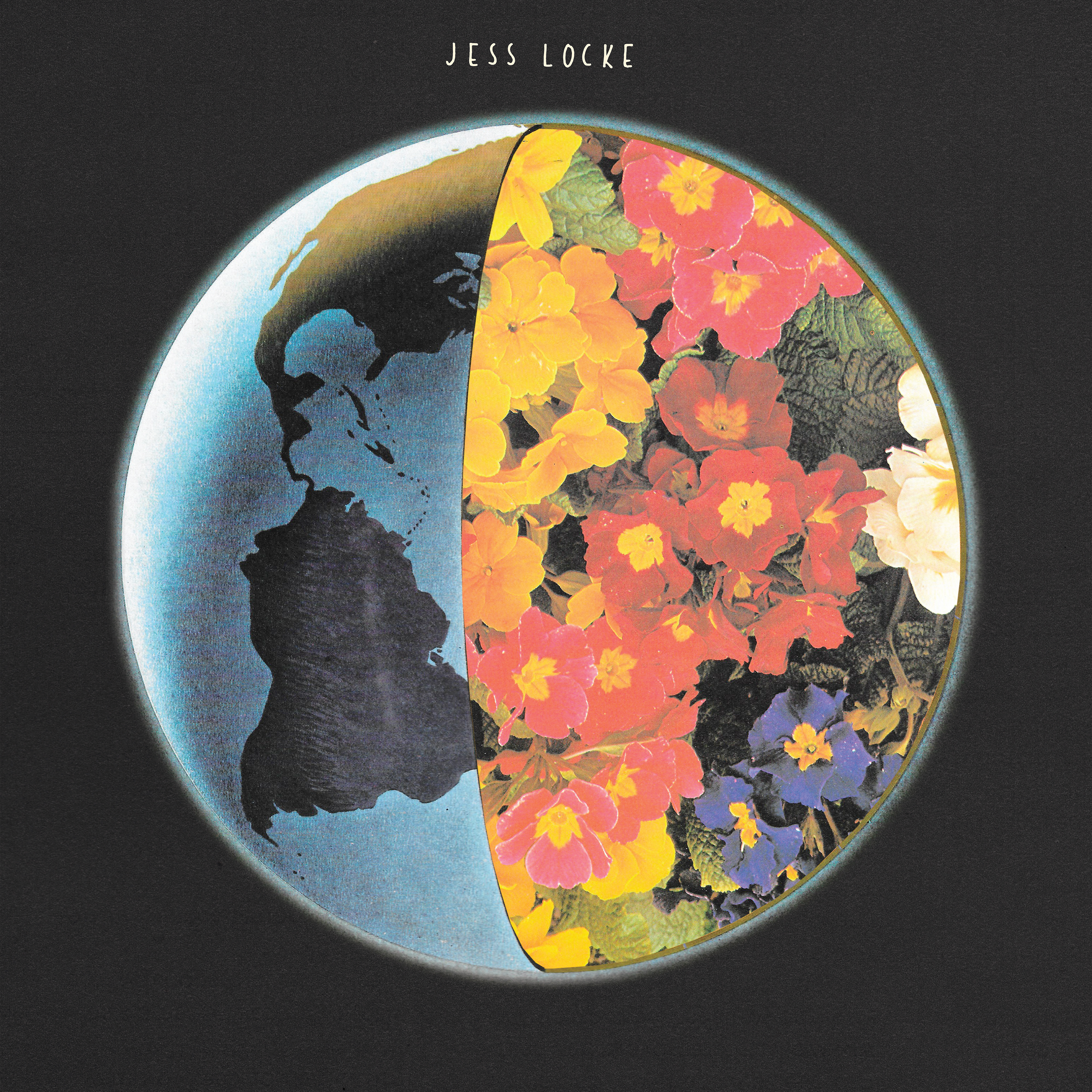 My Body Is An Ecosystem