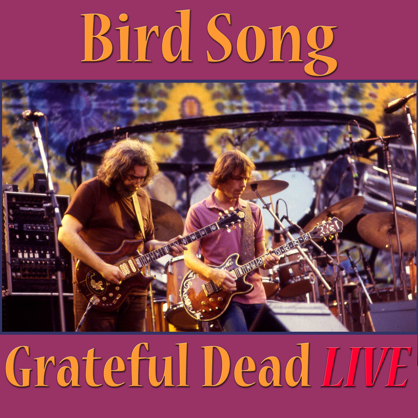 Bird Song (Live)
