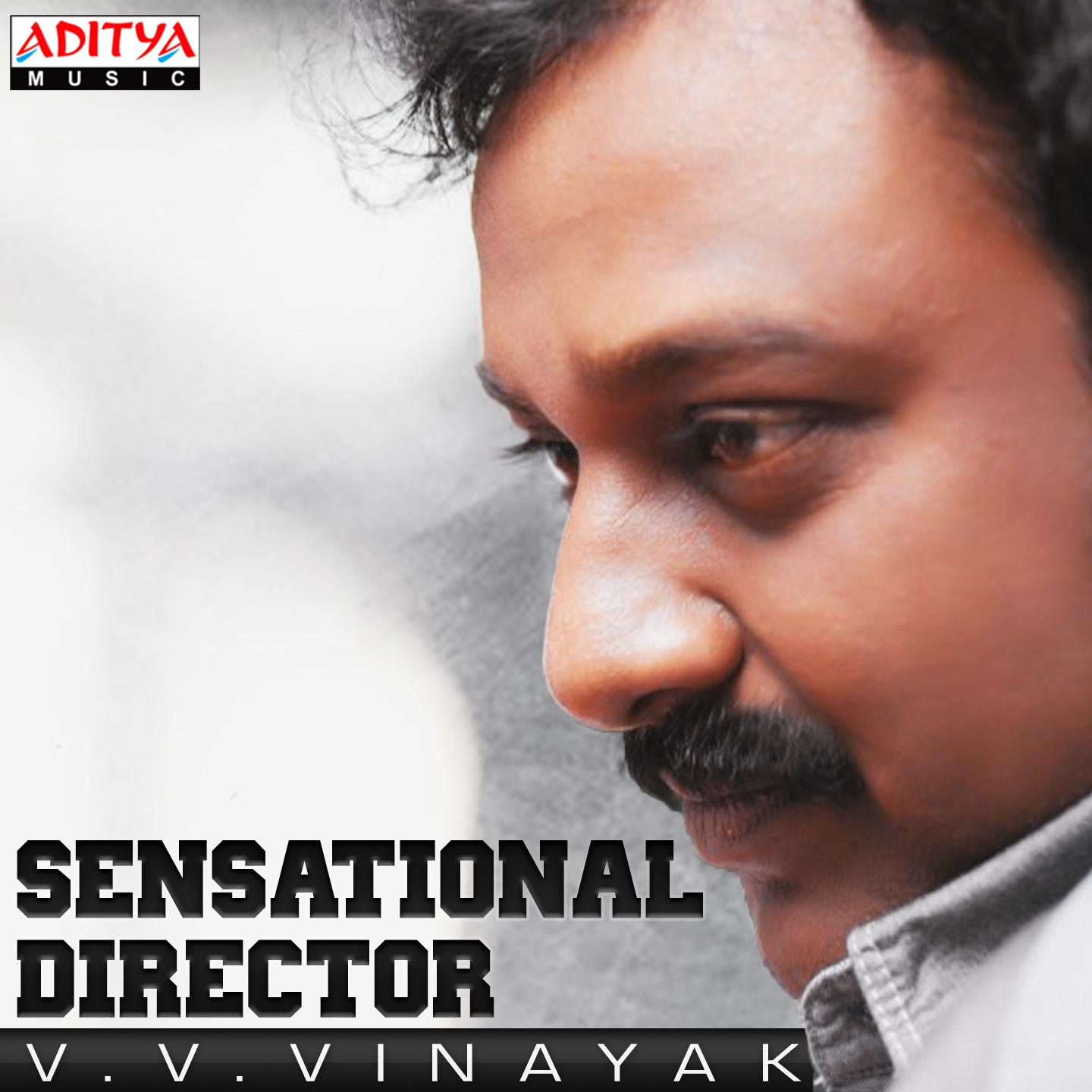 Sensational Director V.V. Vinayak