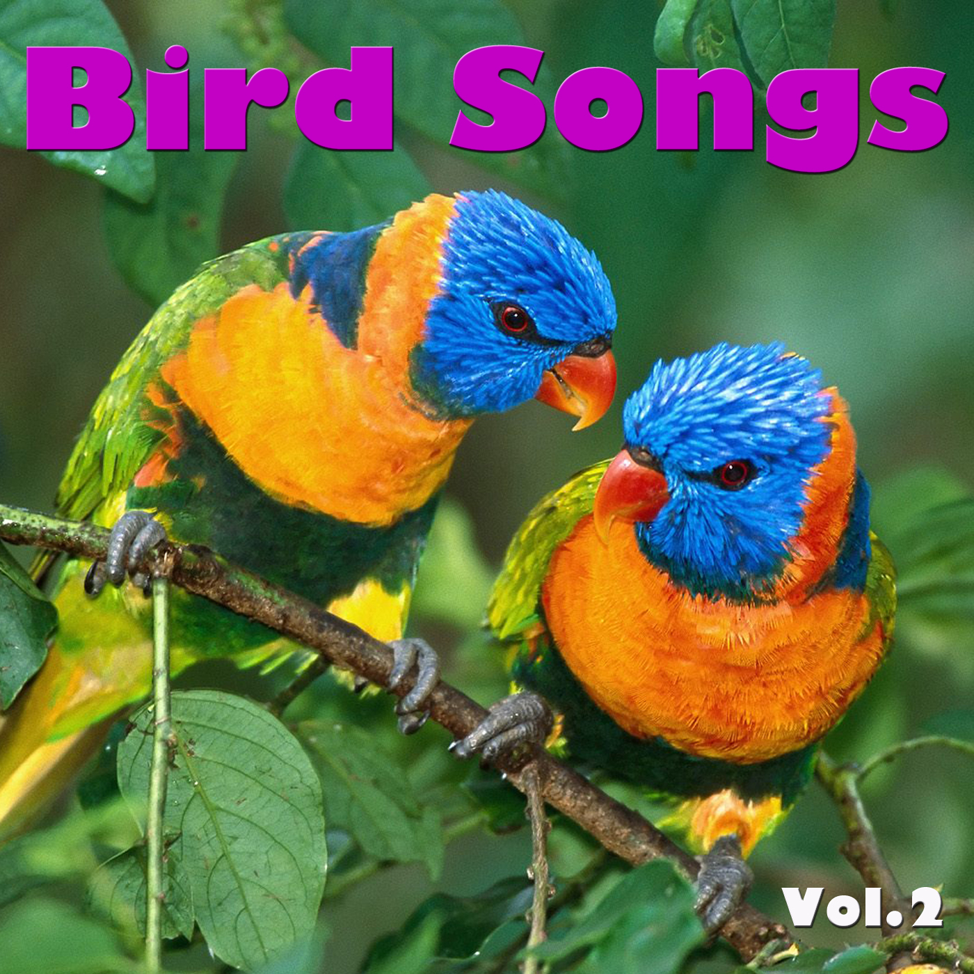 Bird Songs, Vol. 2