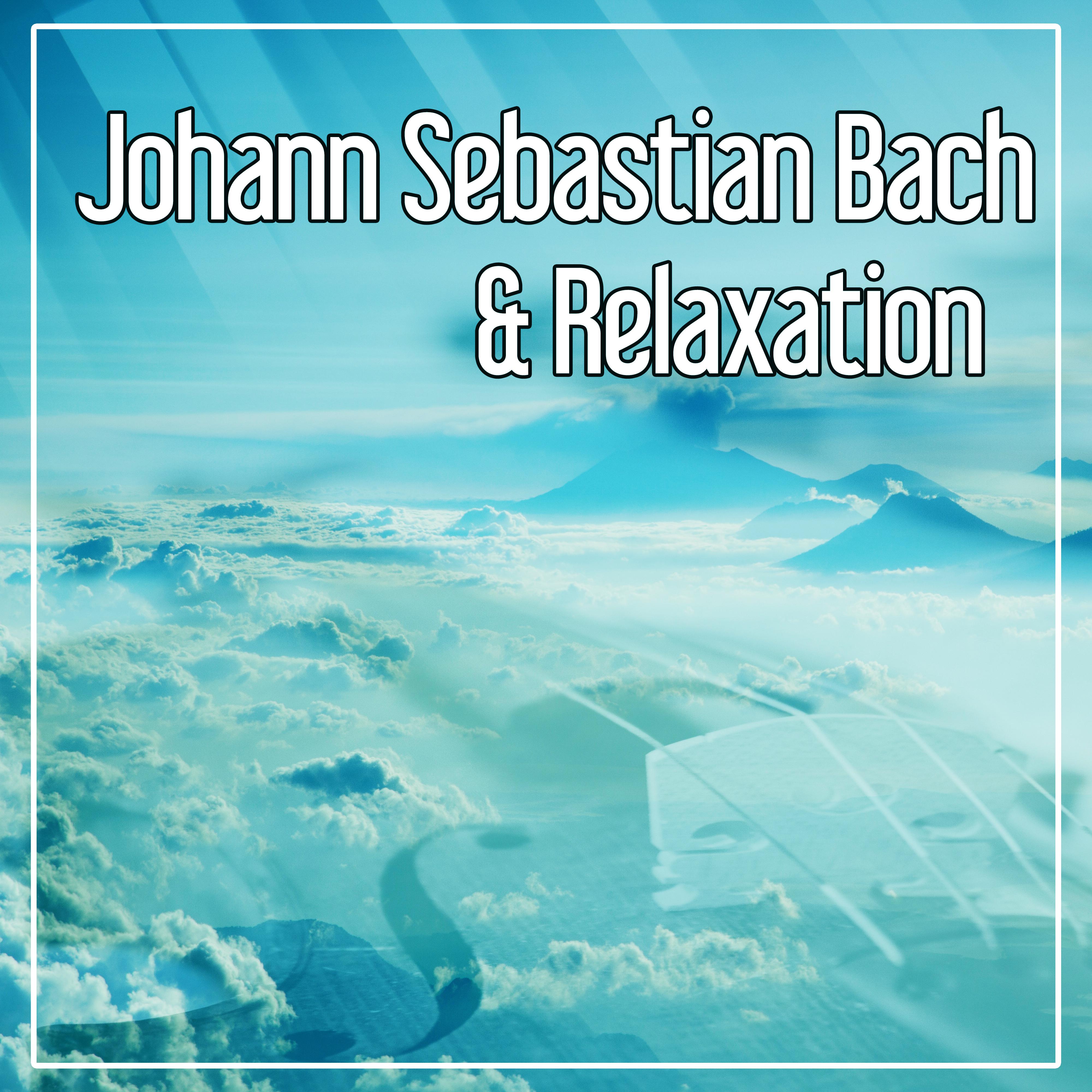 Cello Suite No. 6 in D major, BWV 1012: II. Allemande