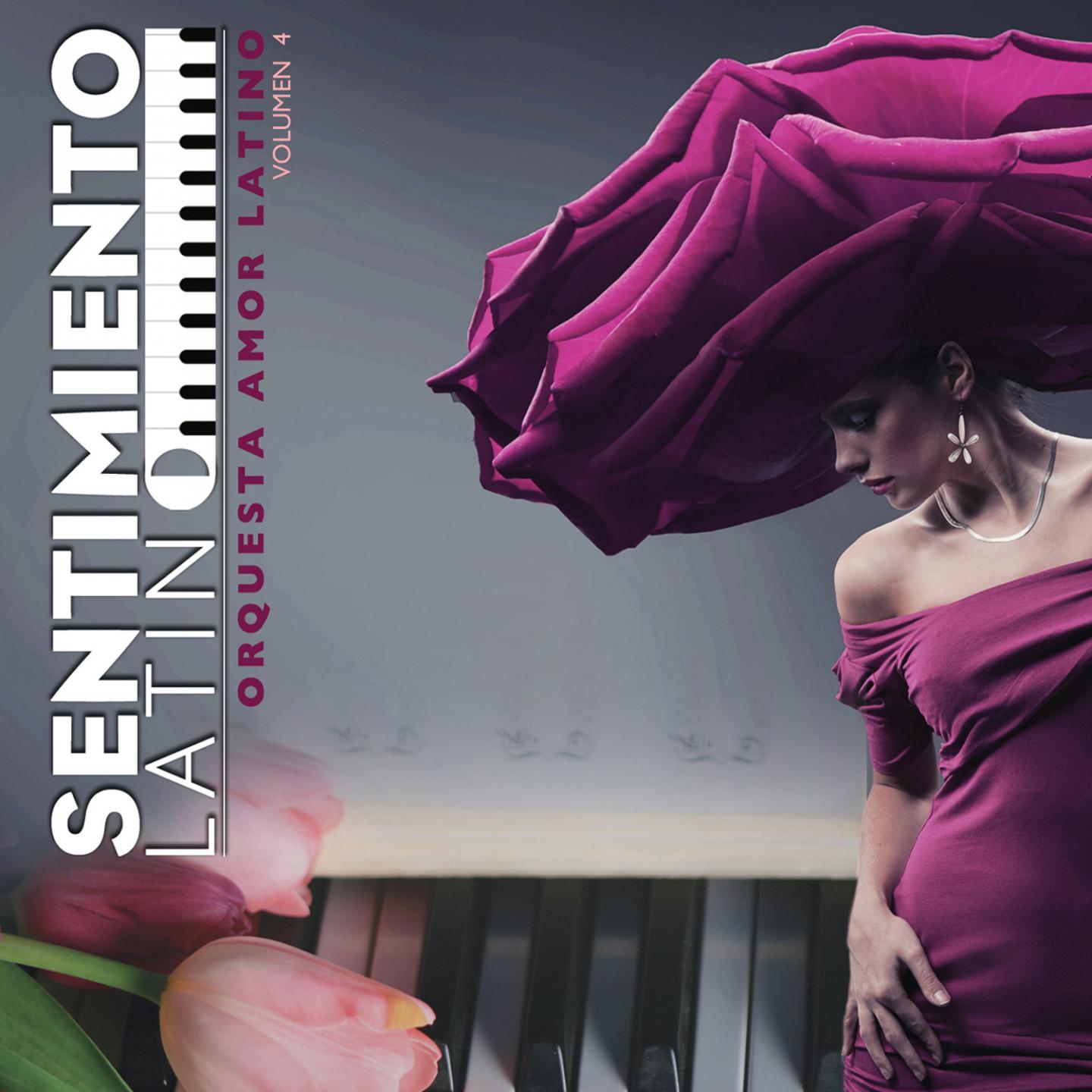 Sentimiento Latino, Vol. 4