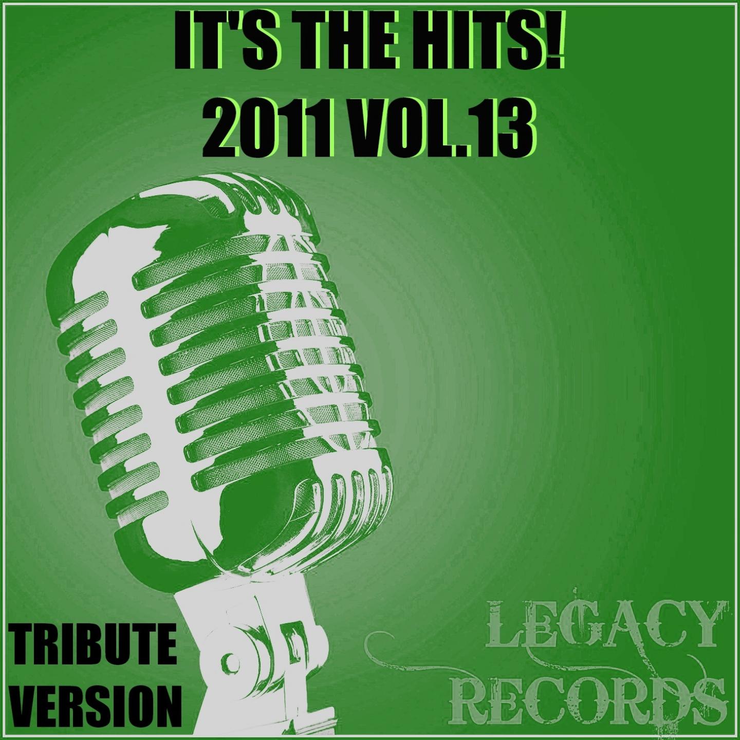 It's the Hits 2011, Vol. 13