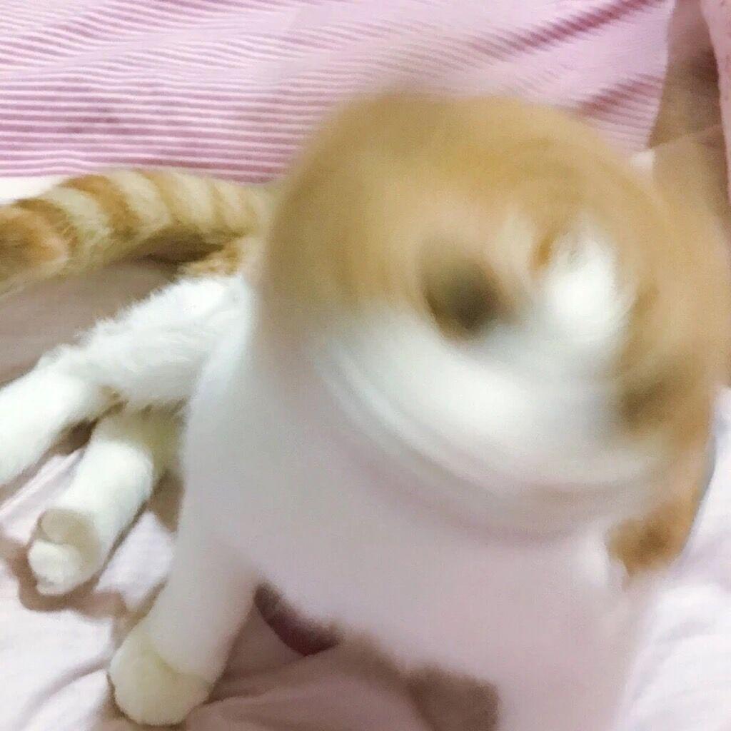 chao ji wu di hao ting da he chang