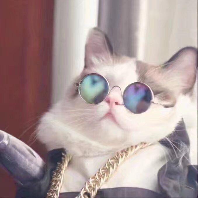 TheStar Cover li jia si