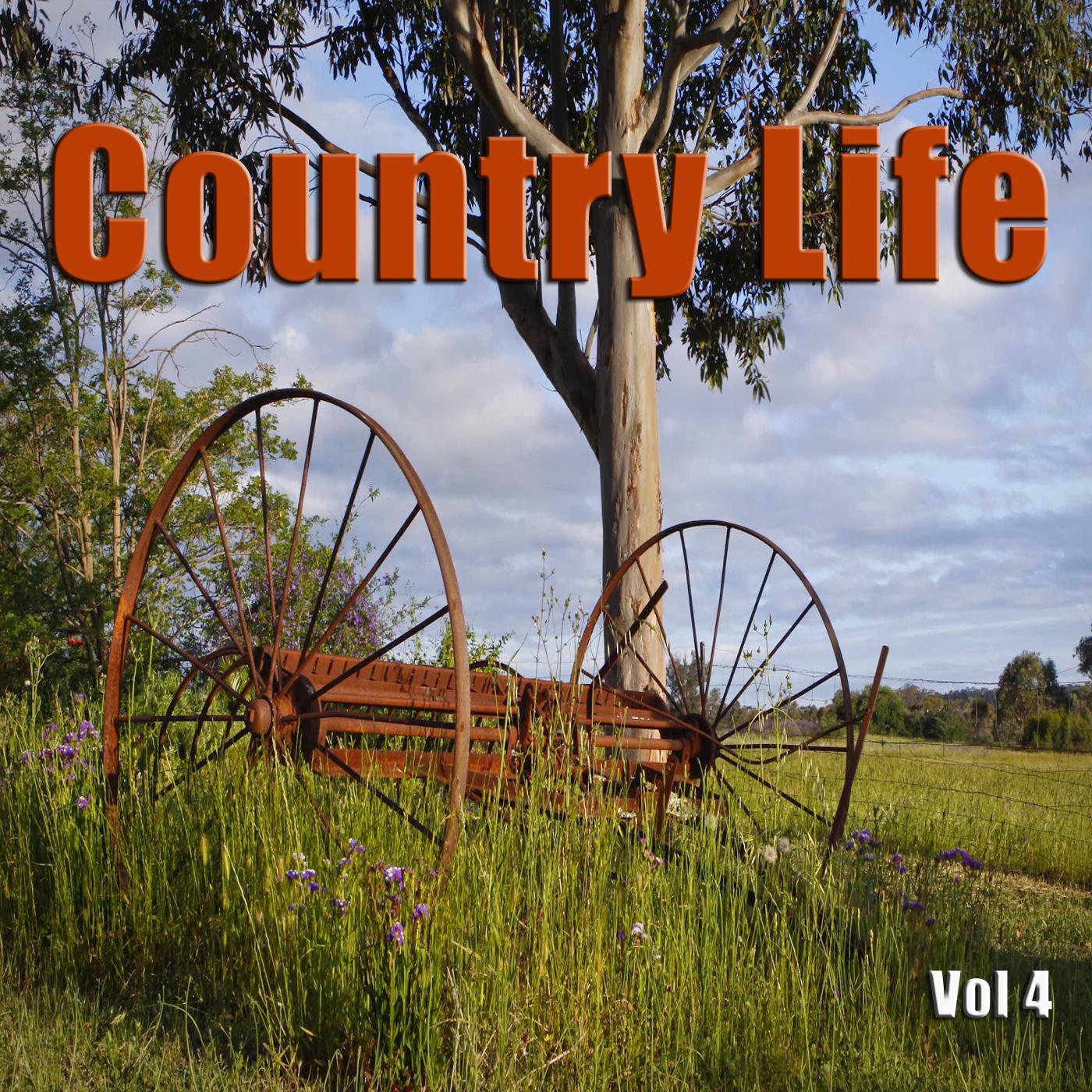 Country Life, Vol. 4