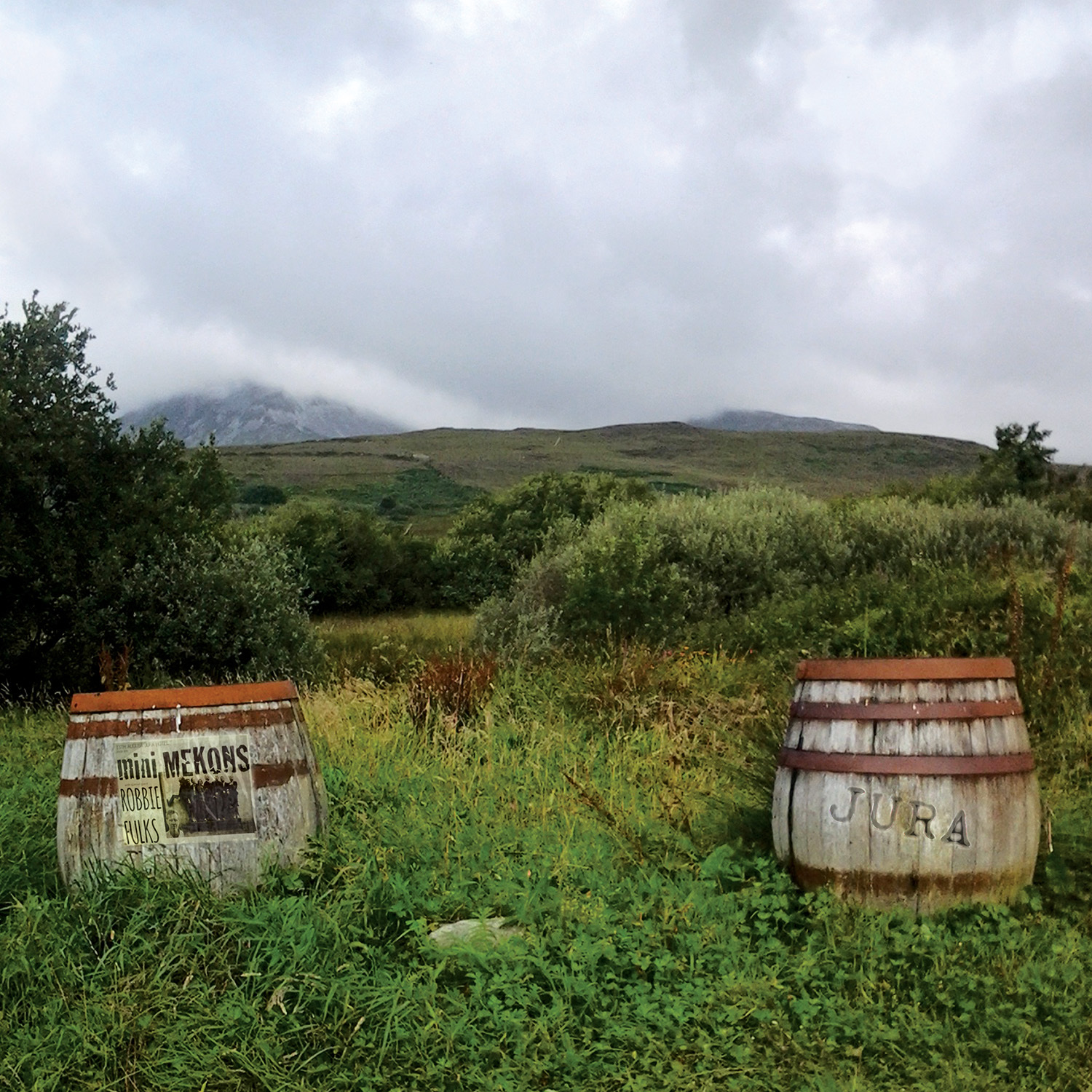 The Last Fish in the Sea