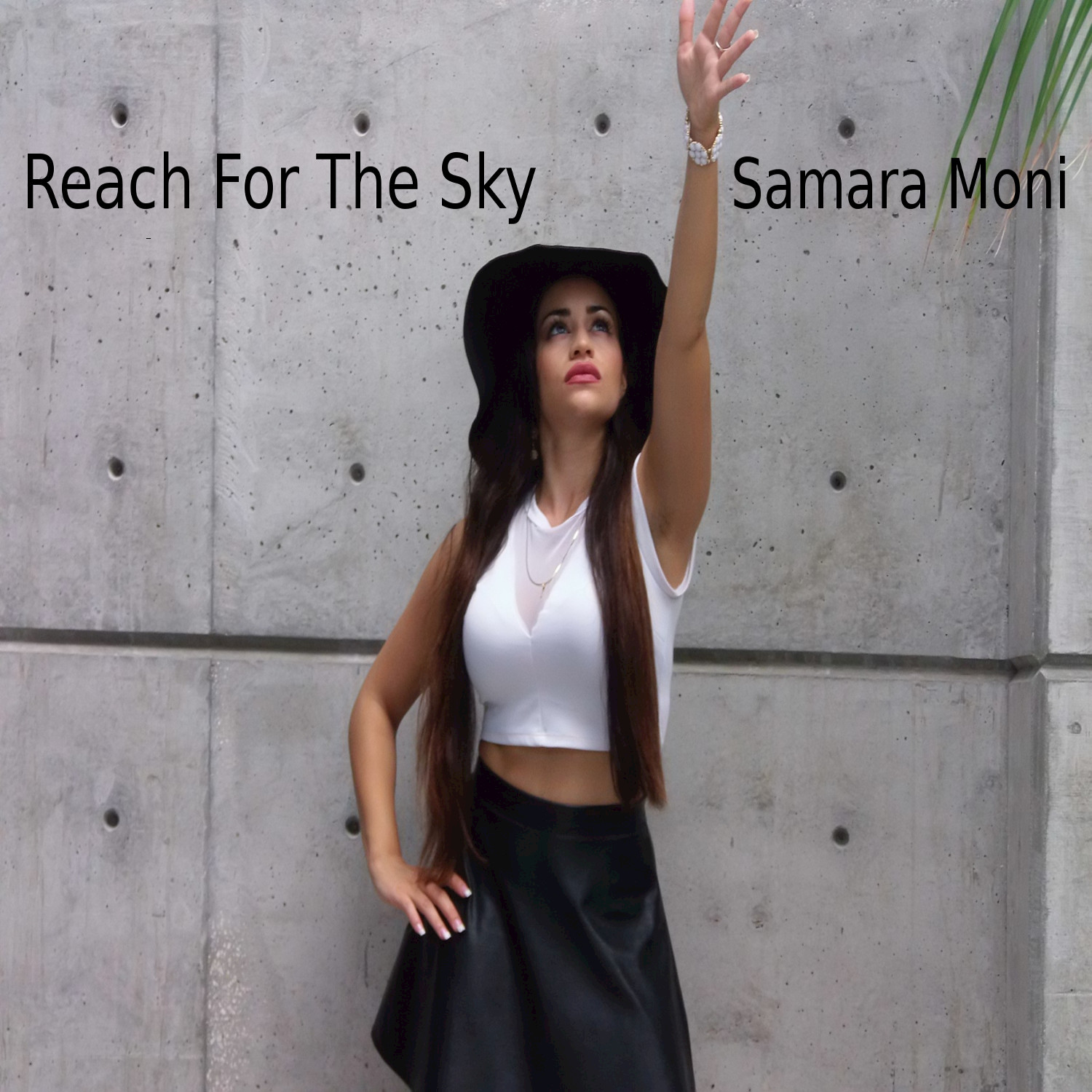 Reach for the Sky - Single