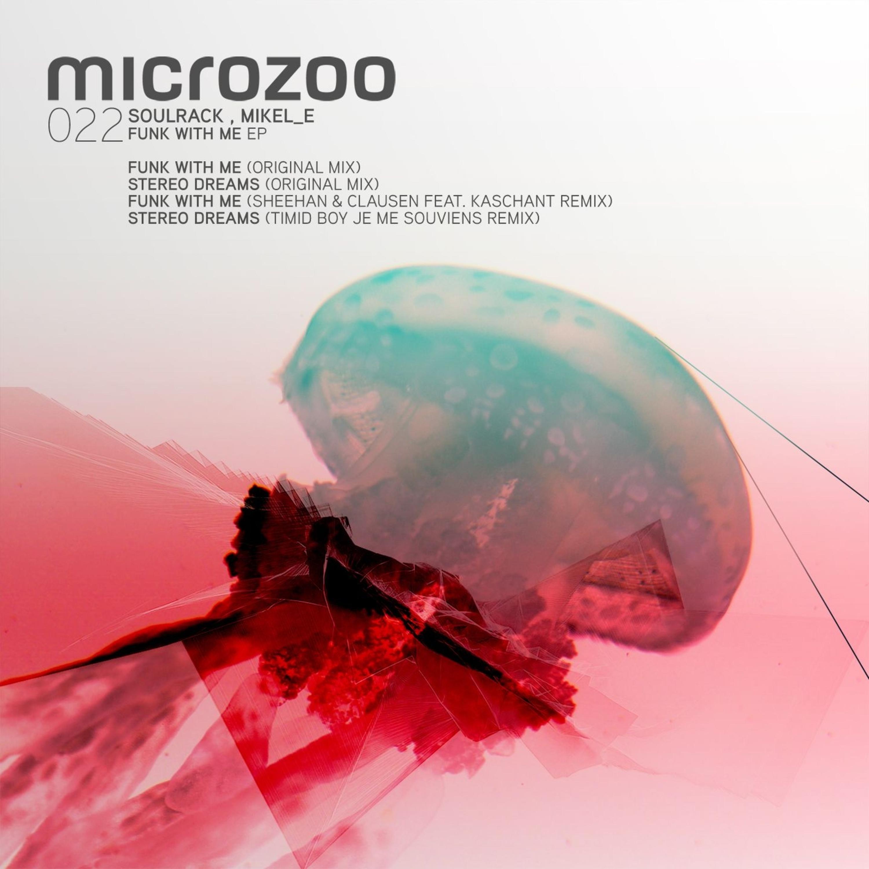 Summer Dream Lyrics Follow Lyrics