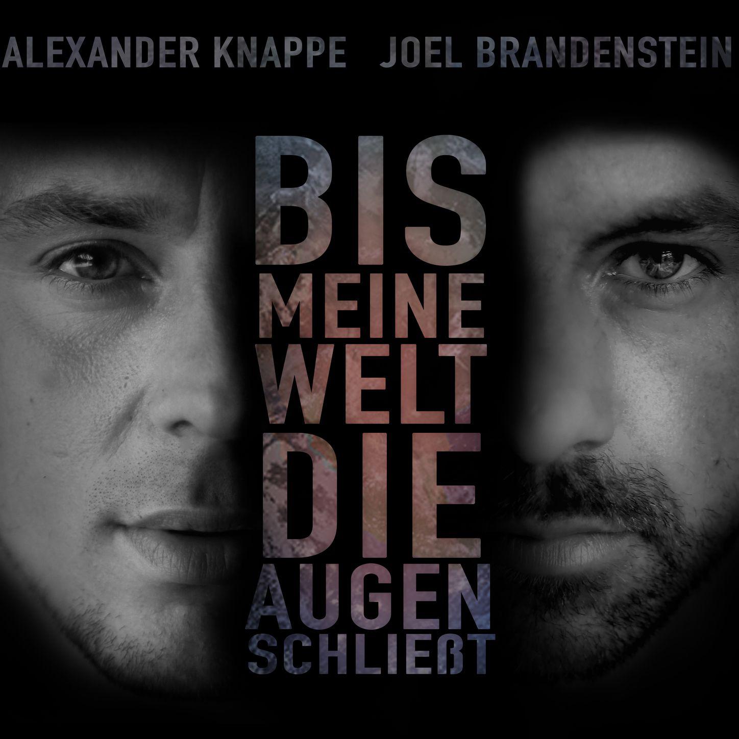 Bis meine Welt die Augen schlie t