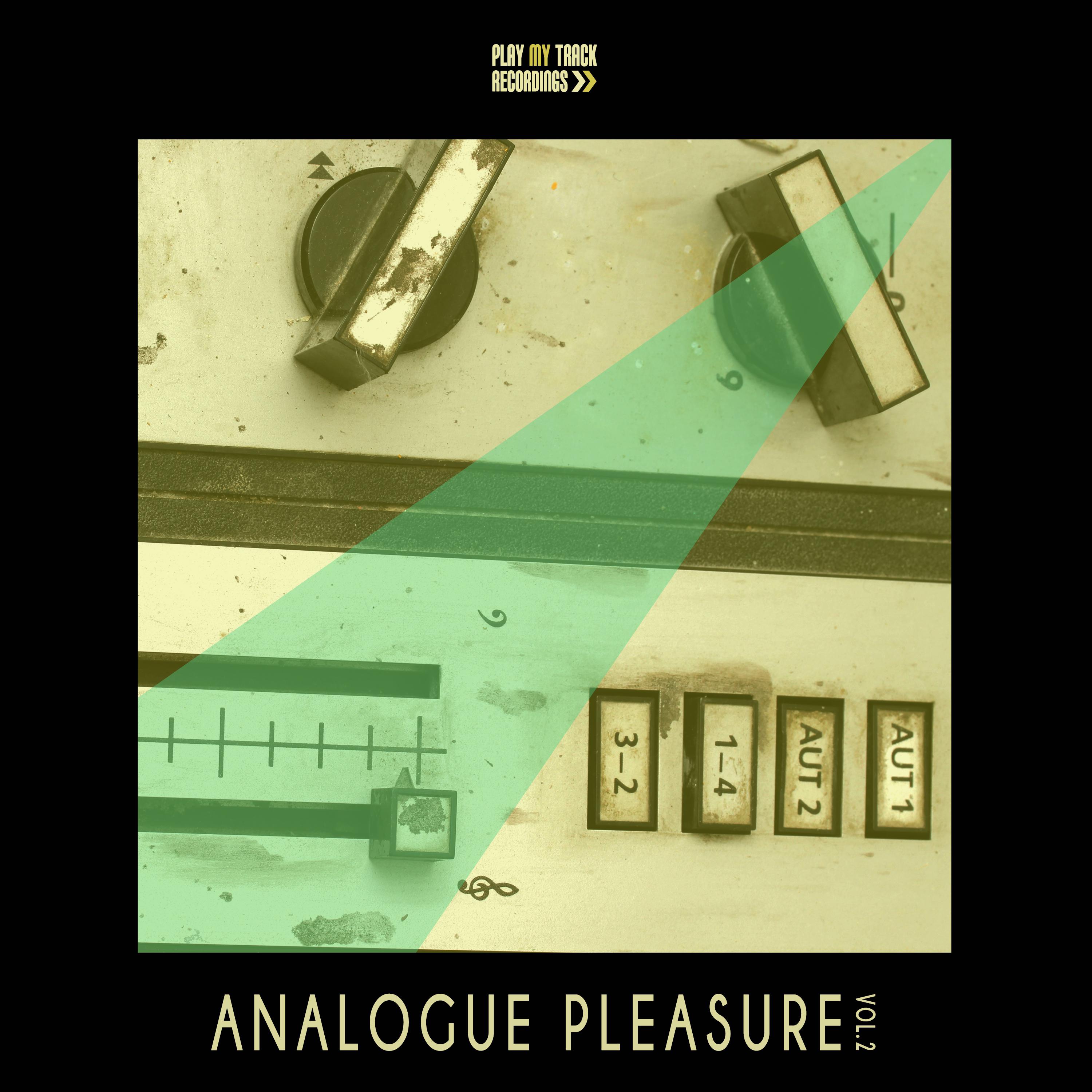 Analogue Pleasure, Vol. 2