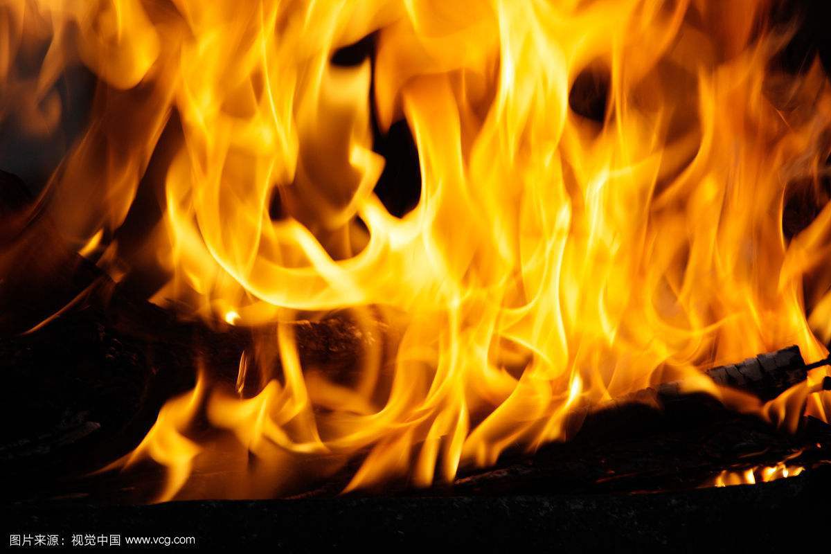 dong jing re jin shu ban